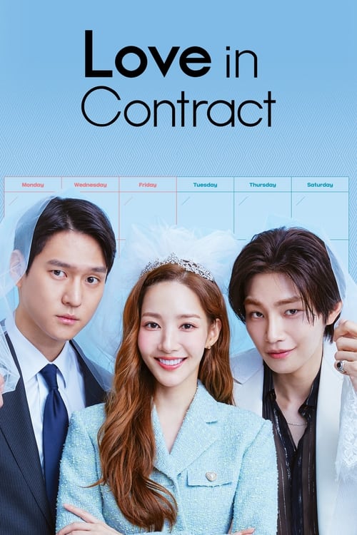 Love in Contract (2022) S01 Epi 1-16 Completed [ Hindi ORG ]