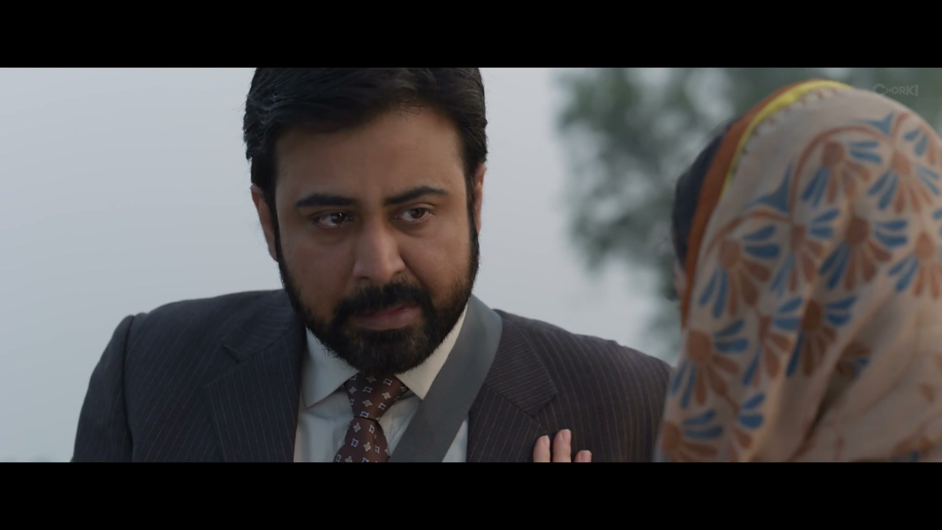 Screenshot of Domm  Full HD (2026) &bull; Bangla on MovieLinkBD