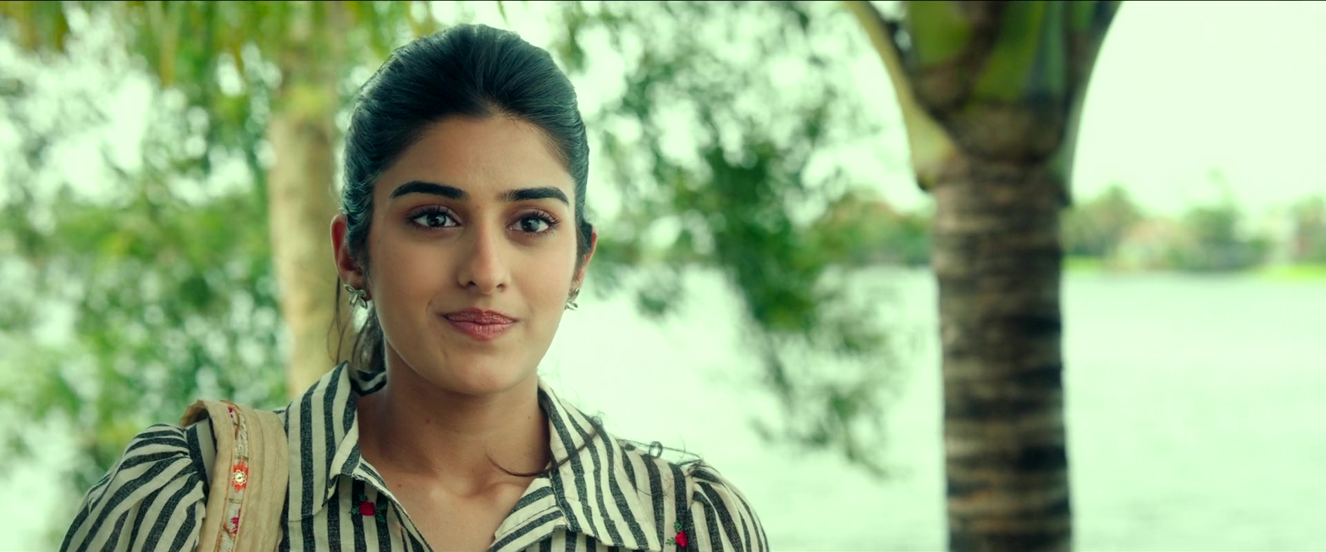 Screenshot of Nari Nari Naduma Murari  Full HD Hindi ORG (2026) &bull; Hindi + Telugu + Dual Audio on MovieLinkBD