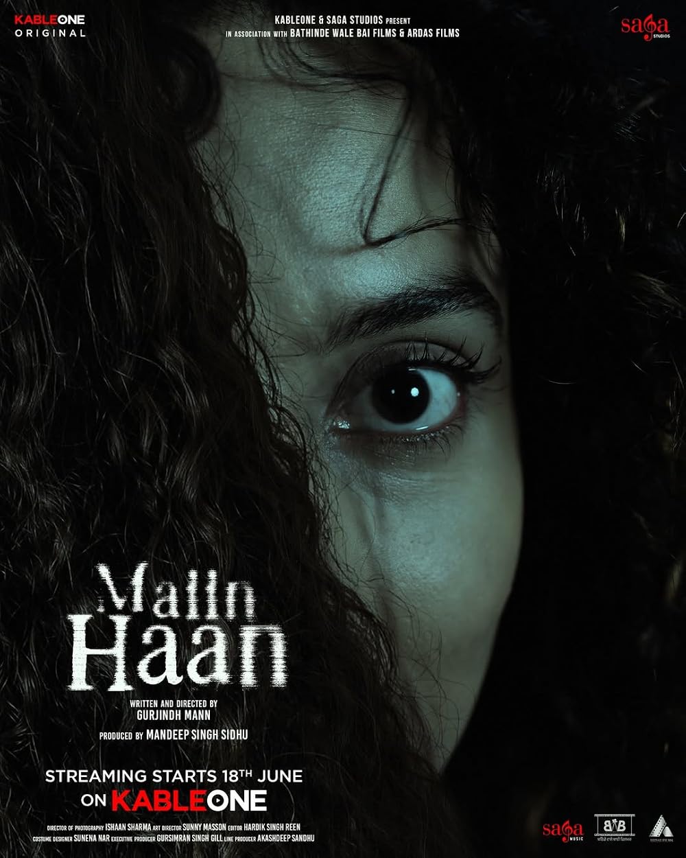 Maiin Haan (2026) Full HD Hindi ORG