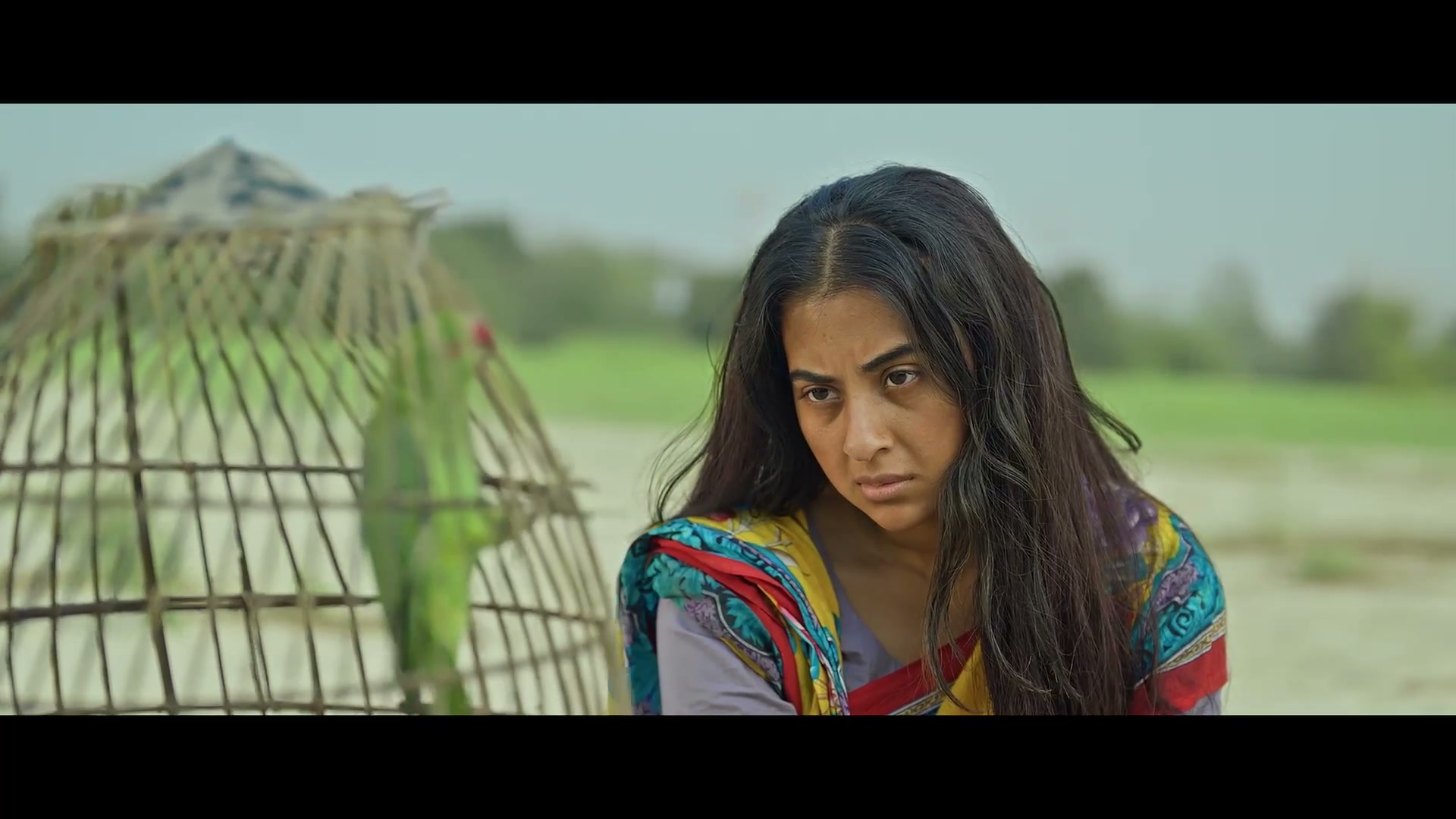 Screenshot of Sarder Barir Khela  Full HD (2026) &bull; Bangla on MovieLinkBD