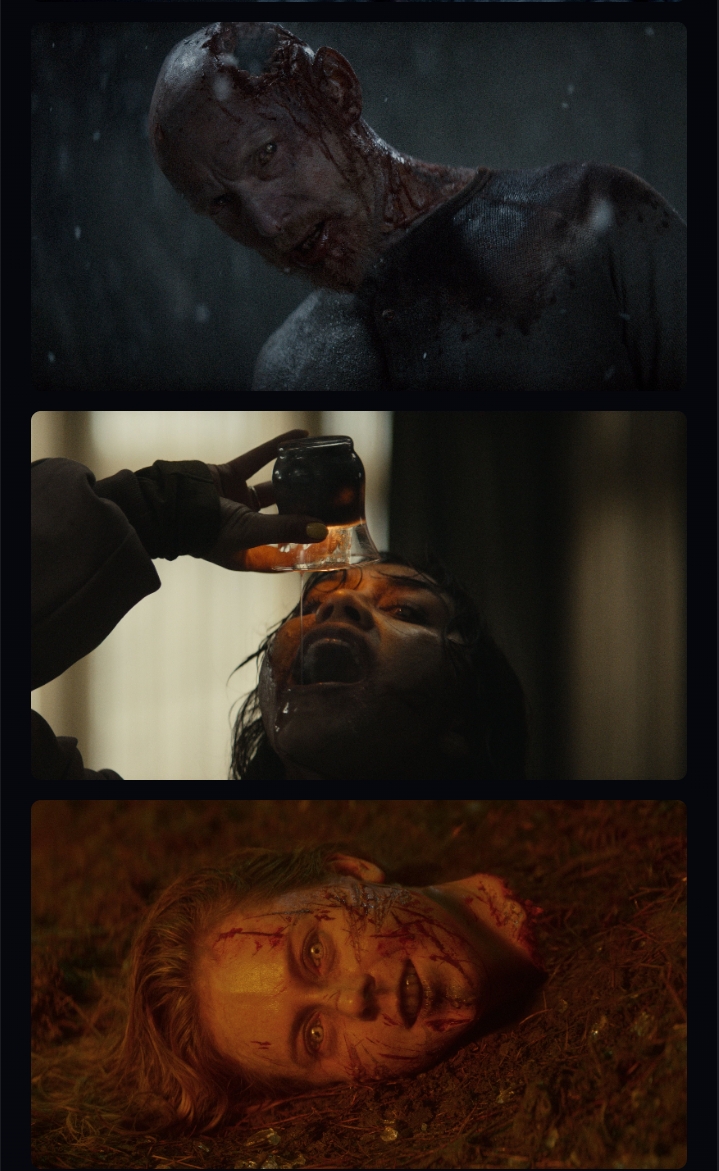 Screenshot of Evil Dead Burn  [ORG Hindi] (2026) &bull; Hindi + English + Tamil + Telugu on MovieLinkBD