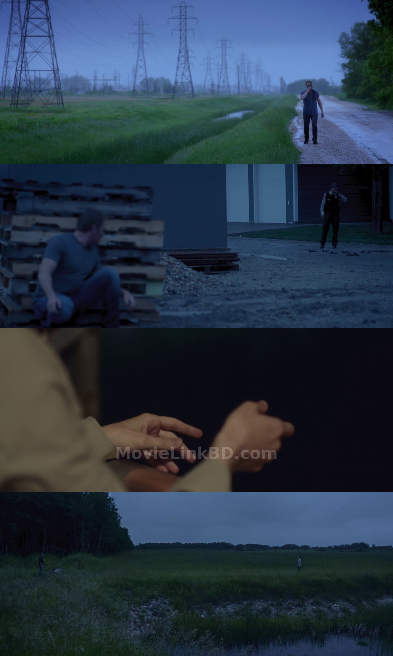 Screenshot of Radius (2017) &bull; Hindi, English Dual Audio on MovieLinkBD
