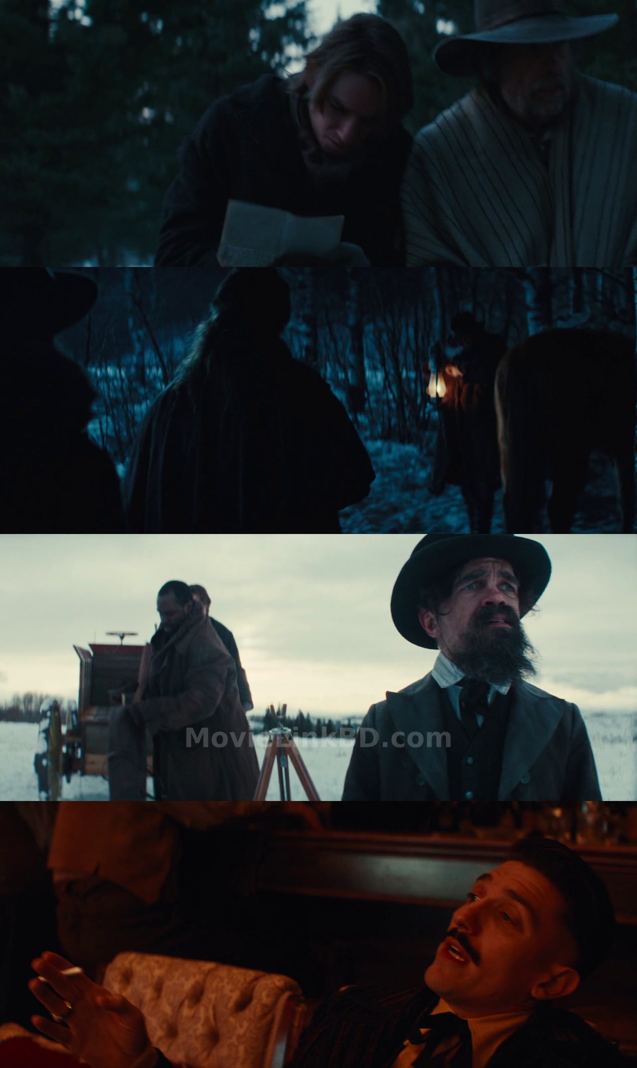 Screenshot of The Thicket (2024) &bull; Hindi, English, Dual, Audio on MovieLinkBD