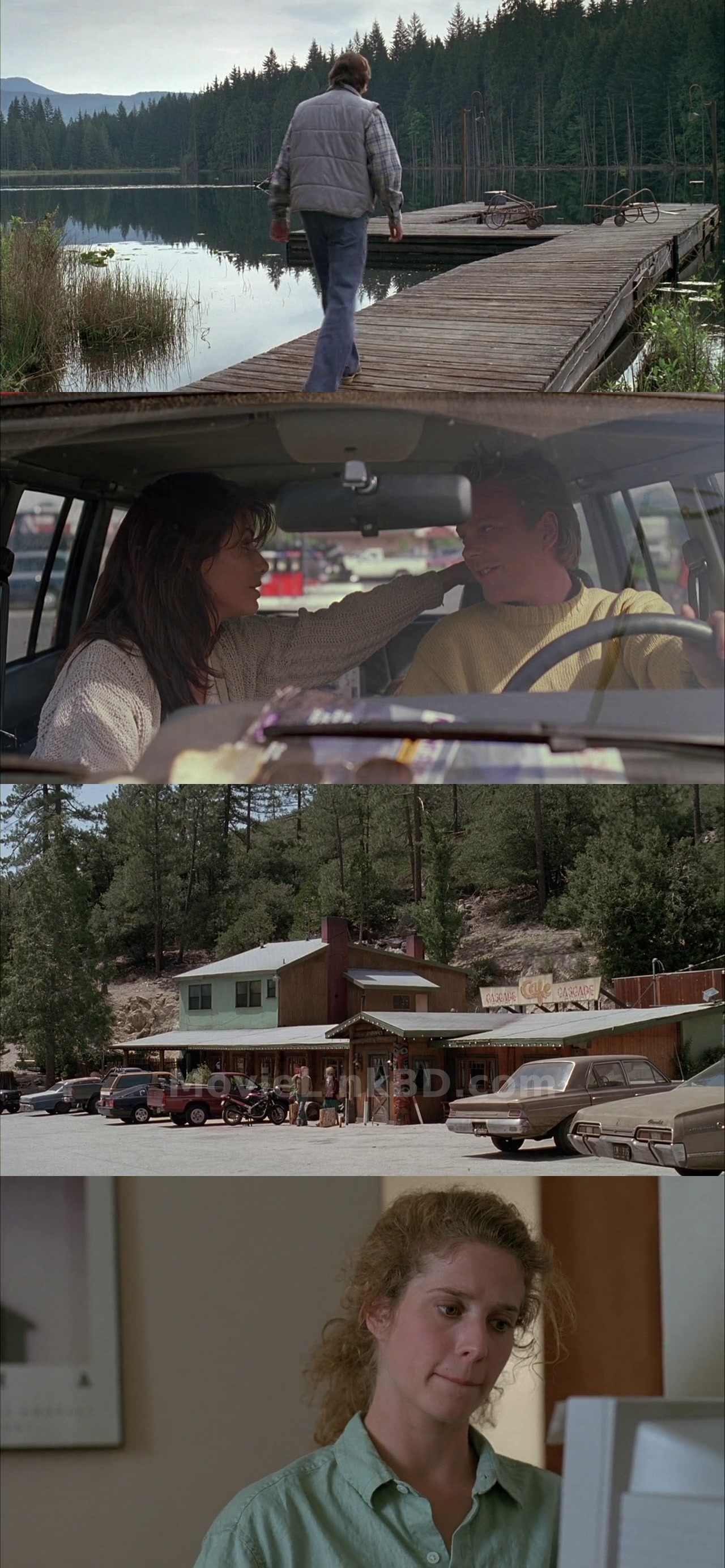 Screenshot of The Vanishing (1993) &bull; English on MovieLinkBD