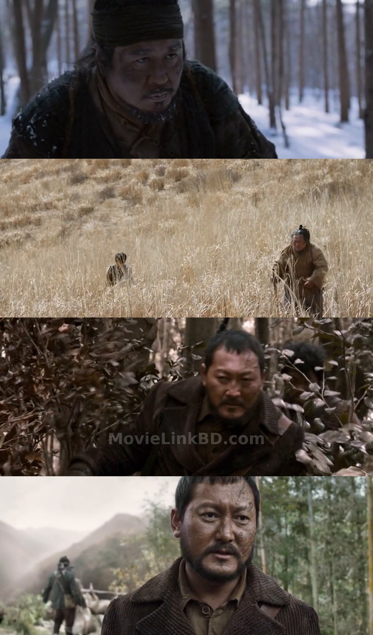 Screenshot of The Tiger (2015) &bull; Japanese + Hindi on MovieLinkBD