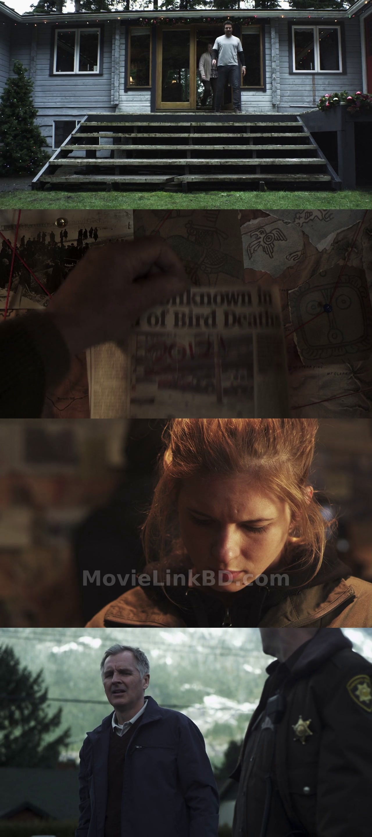 Screenshot of The 12 Disasters of Christmas (2012) &bull; Hindi, English, Dual, Audio on MovieLinkBD
