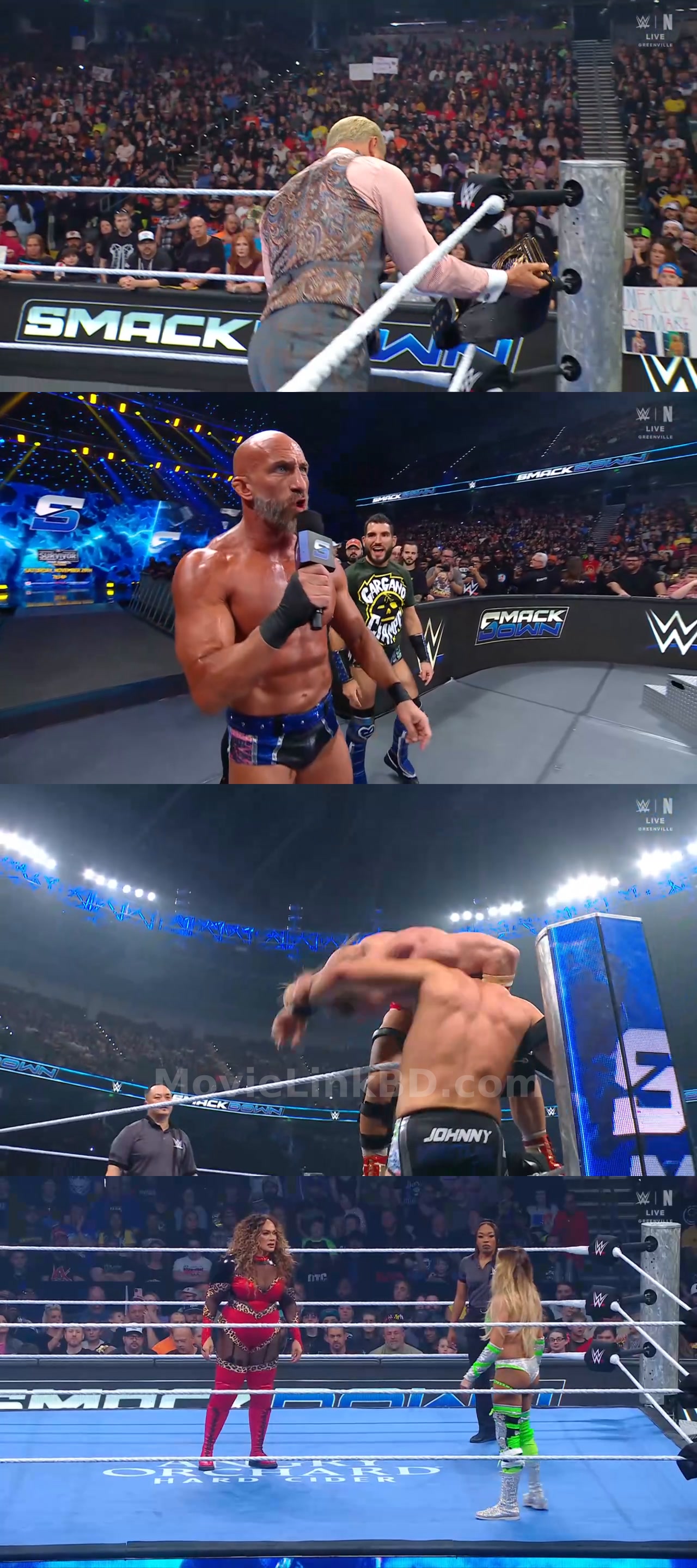 Screenshot of WWE Friday Night SmackDown (7th November 2025) &bull; Hindi, English on MovieLinkBD