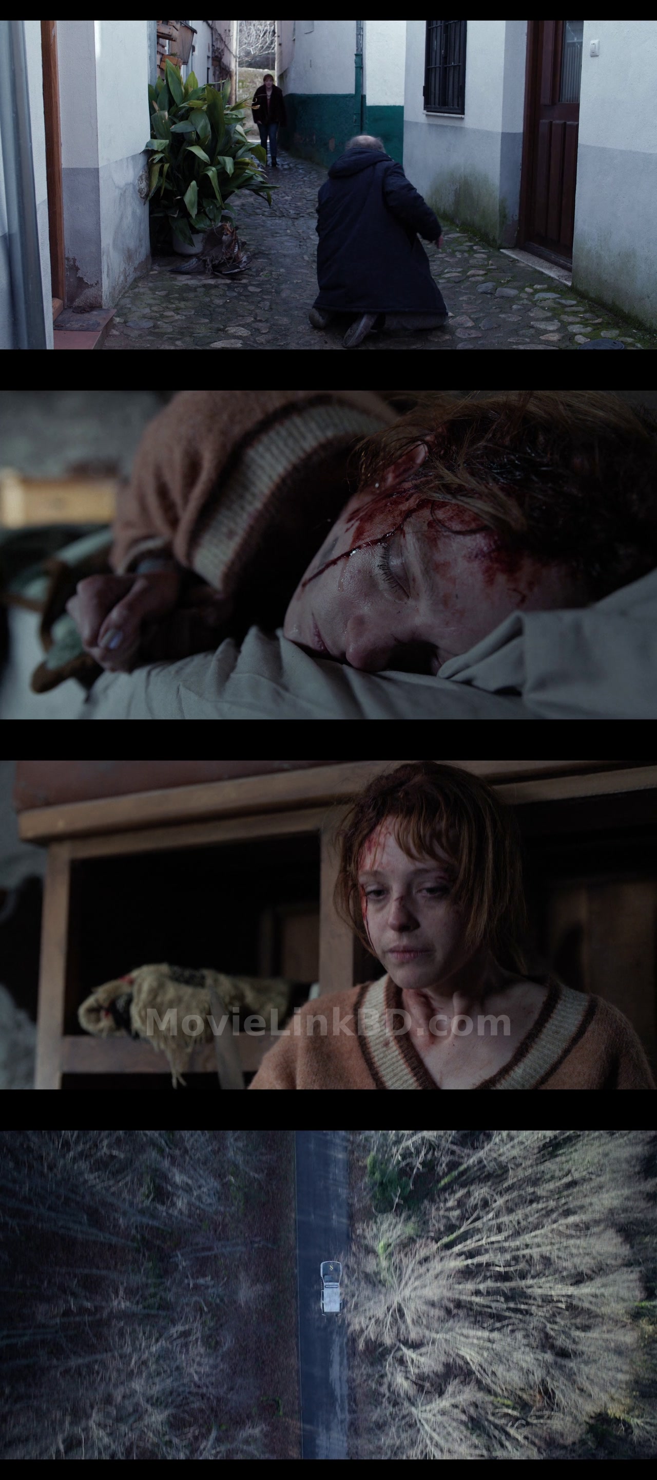 Screenshot of The Crystal Cuckoo  S01 Completed (2025) &mdash; S01 &bull; Hindi + Multi Audio on MovieLinkBD