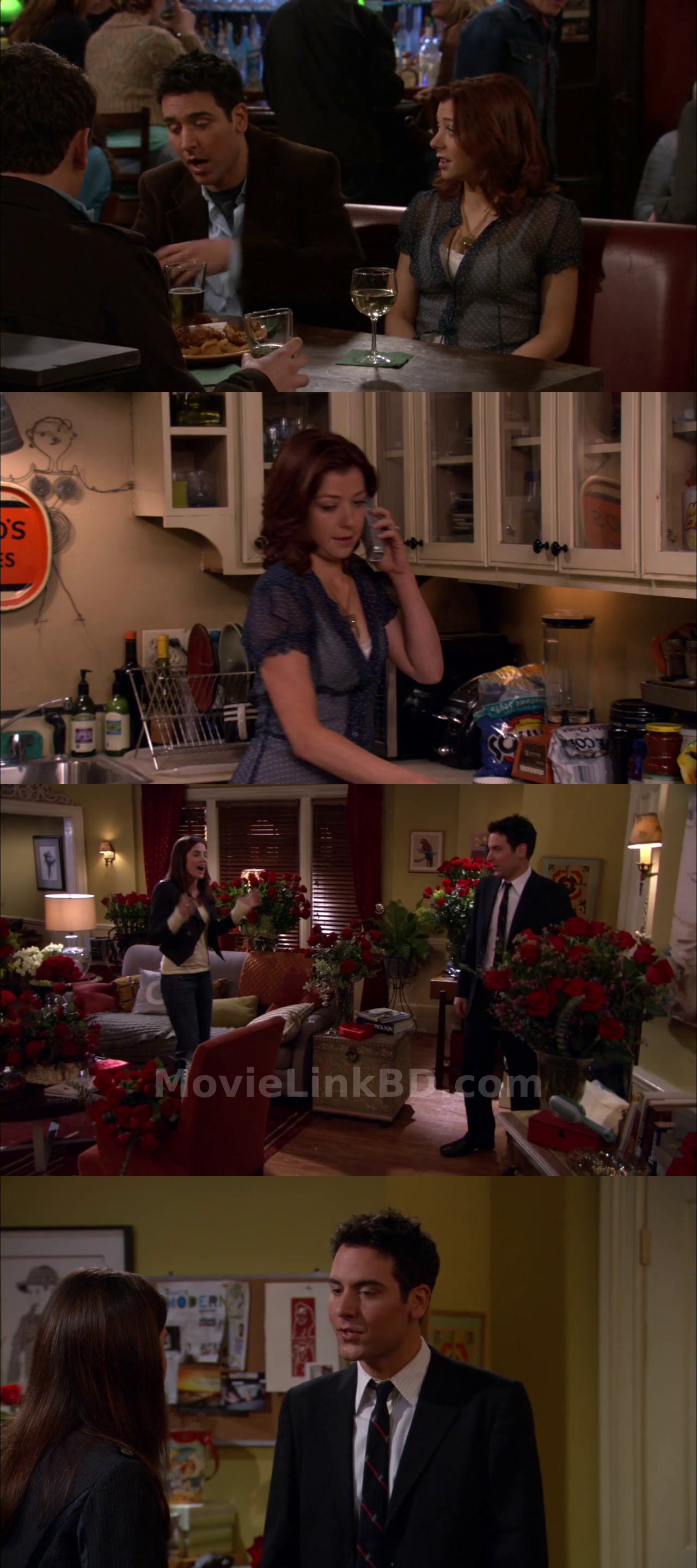 Screenshot of How I Met Your Mother  Season 1 - 9 Completed (2005) &bull; English on MovieLinkBD