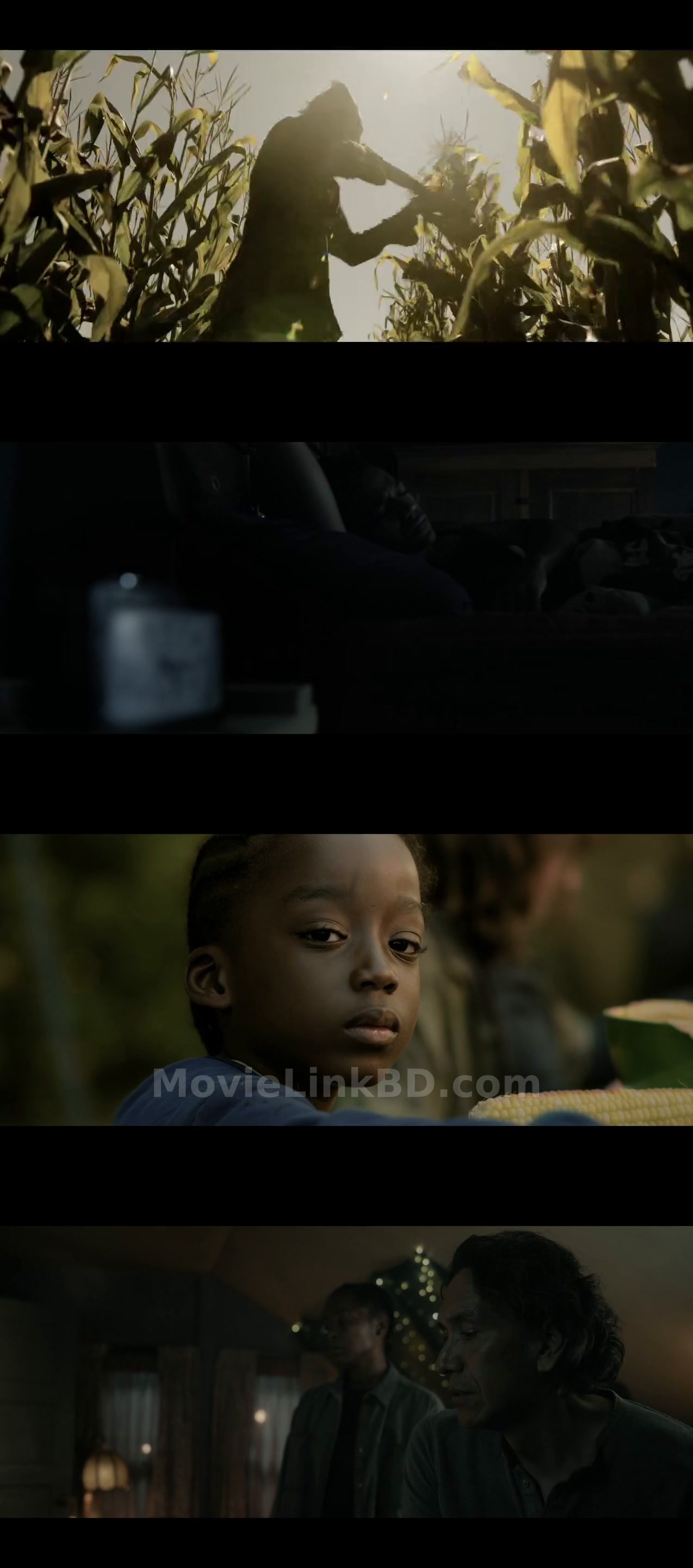 Screenshot of 40 Acres  ORG Hindi (2024) &bull; Hindi, English, Dual, Audio on MovieLinkBD