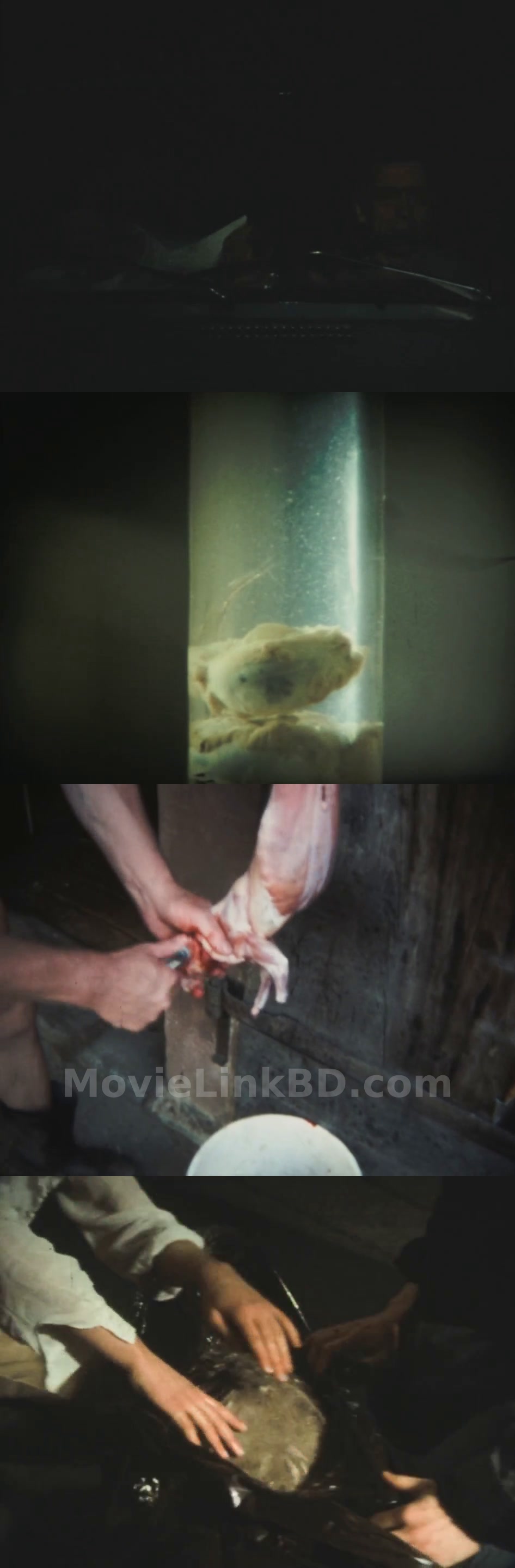 Screenshot of Nekromantik (1988) &bull; German on MovieLinkBD