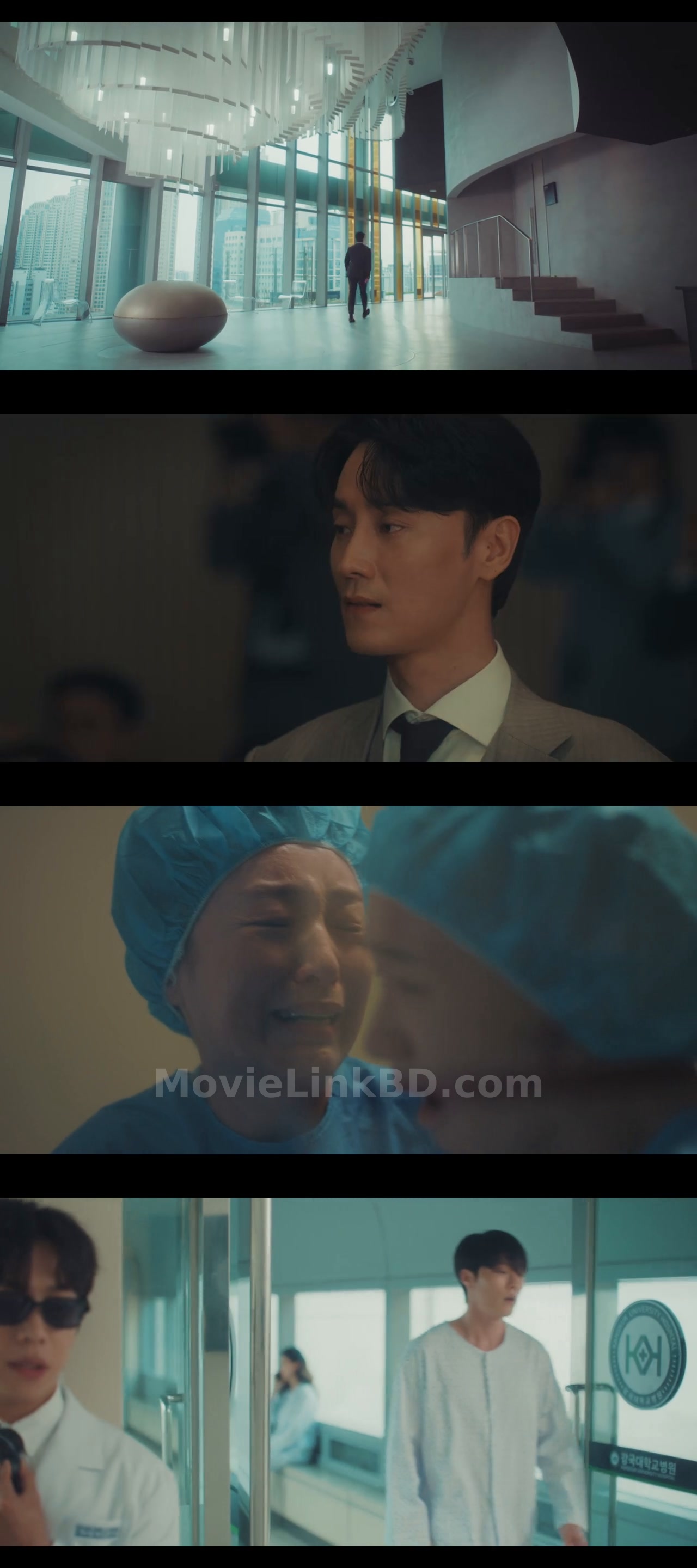 Screenshot of Dynamite Kiss  S01 Ep 1-14 Completed [ Hindi ORG ] (2025) &mdash; S01 &bull; Hindi + Korean + Dual Audio on MovieLinkBD