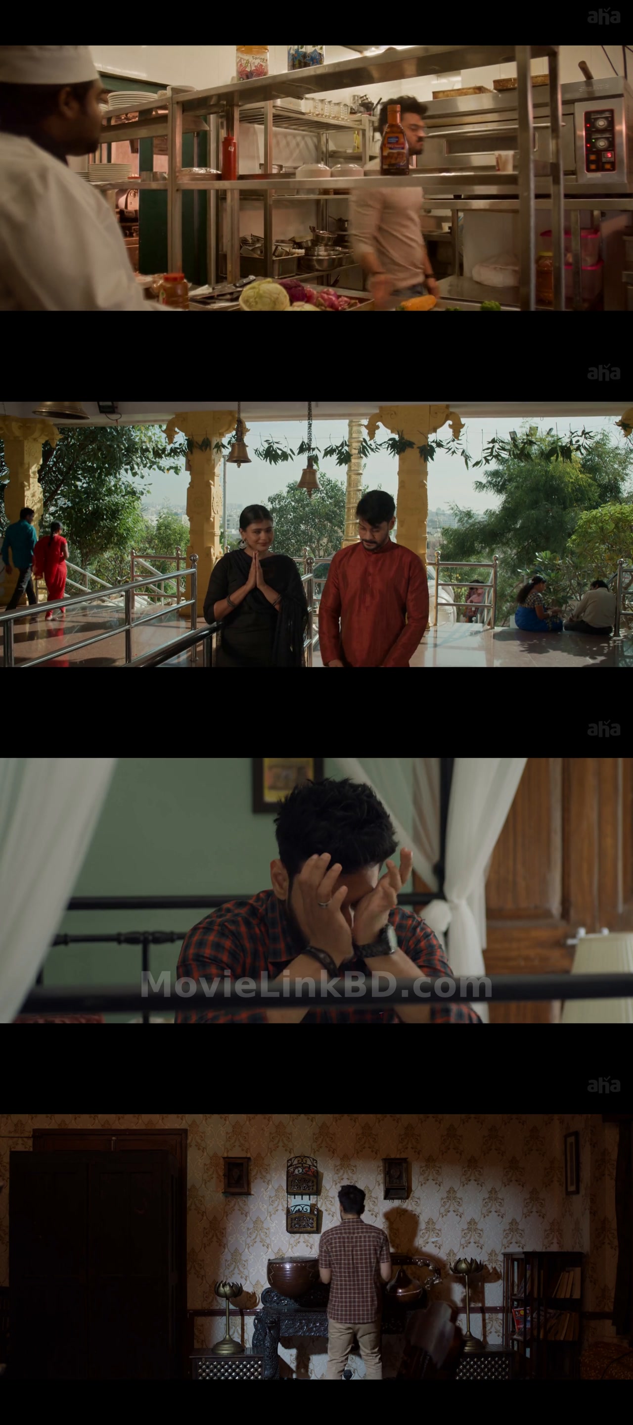 Screenshot of The Great Indian Suicide  Hindi ORG (2023) &bull; Hindi + Telugu on MovieLinkBD