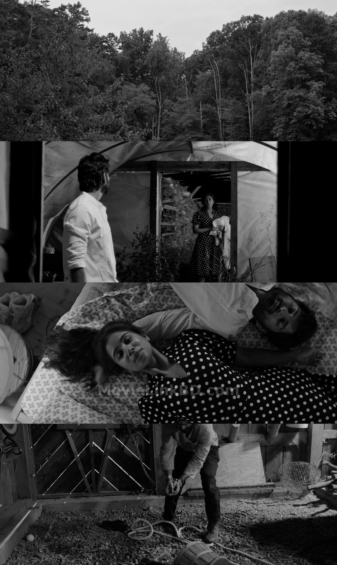 Screenshot of DUAL  [ORG Hindi] (2025) &bull; Hindi + Multi Audio + Malayalam on MovieLinkBD