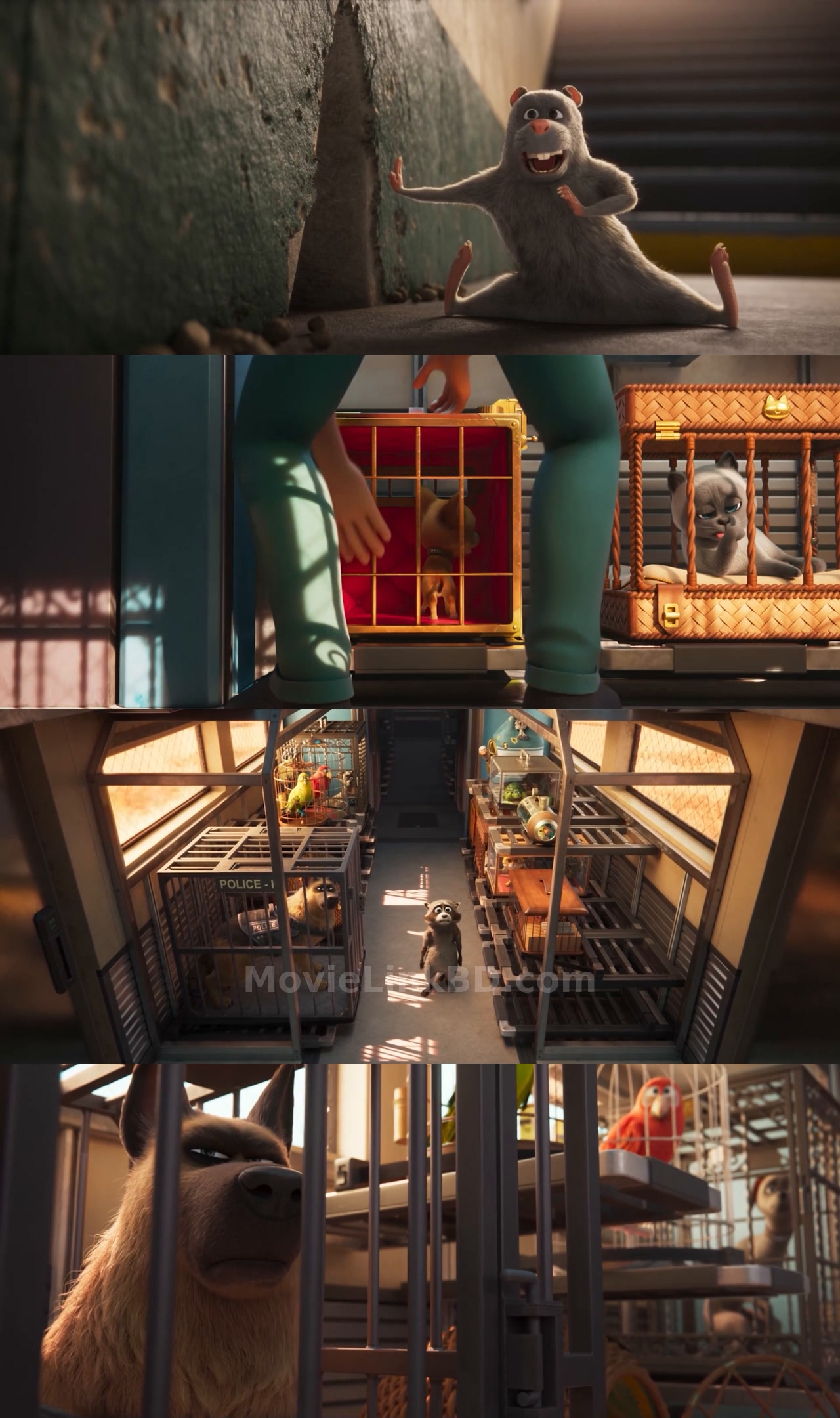 Screenshot of Pets on a Train (2025) &bull; English + Hindi on MovieLinkBD