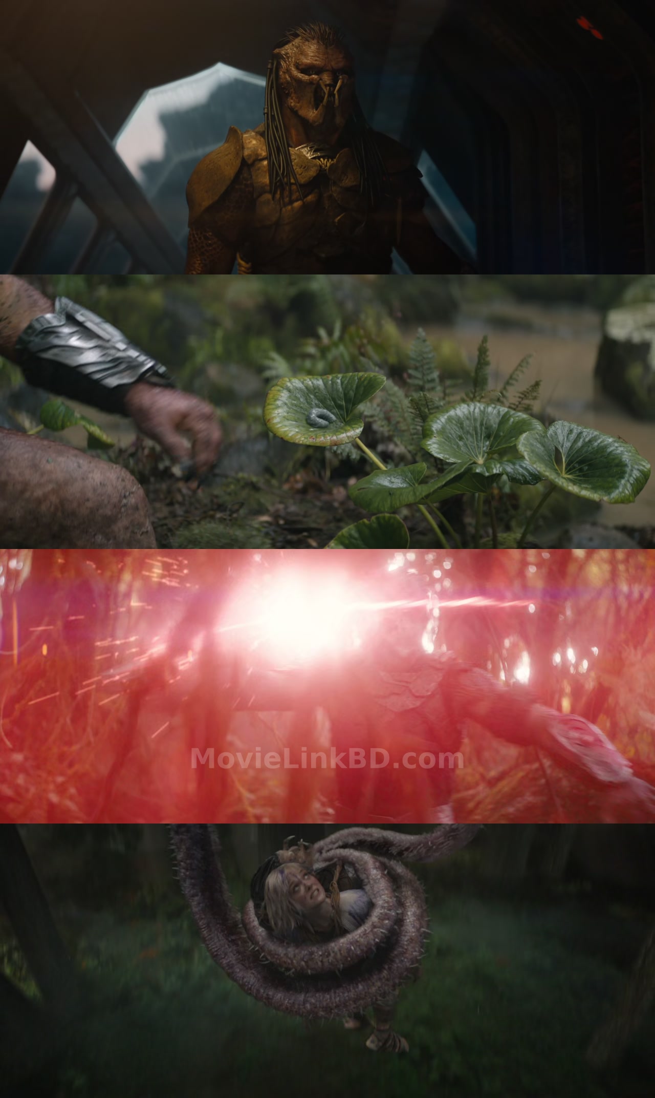 Screenshot of Predator: Badlands  [ORG Hindi] (2025) &bull; English + Hindi on MovieLinkBD