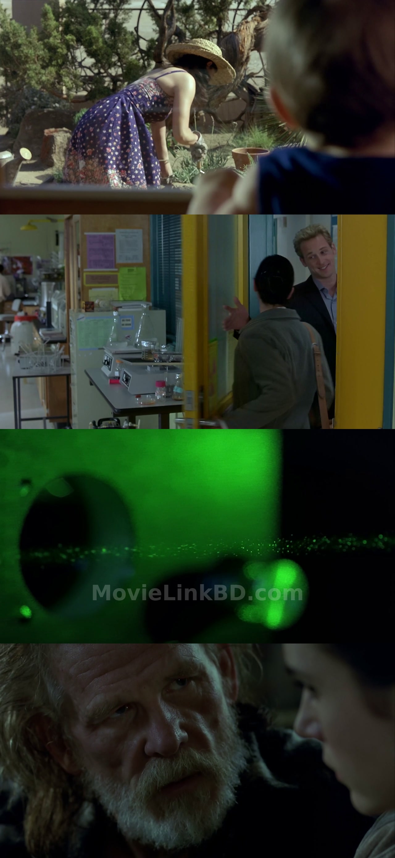 Screenshot of Hulk (2003) &bull; Hindi + Dual Audio on MovieLinkBD