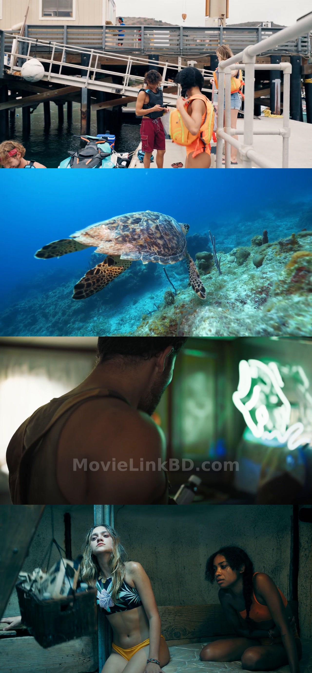 Screenshot of Dead Sea (2024) &bull; English + Hindi on MovieLinkBD