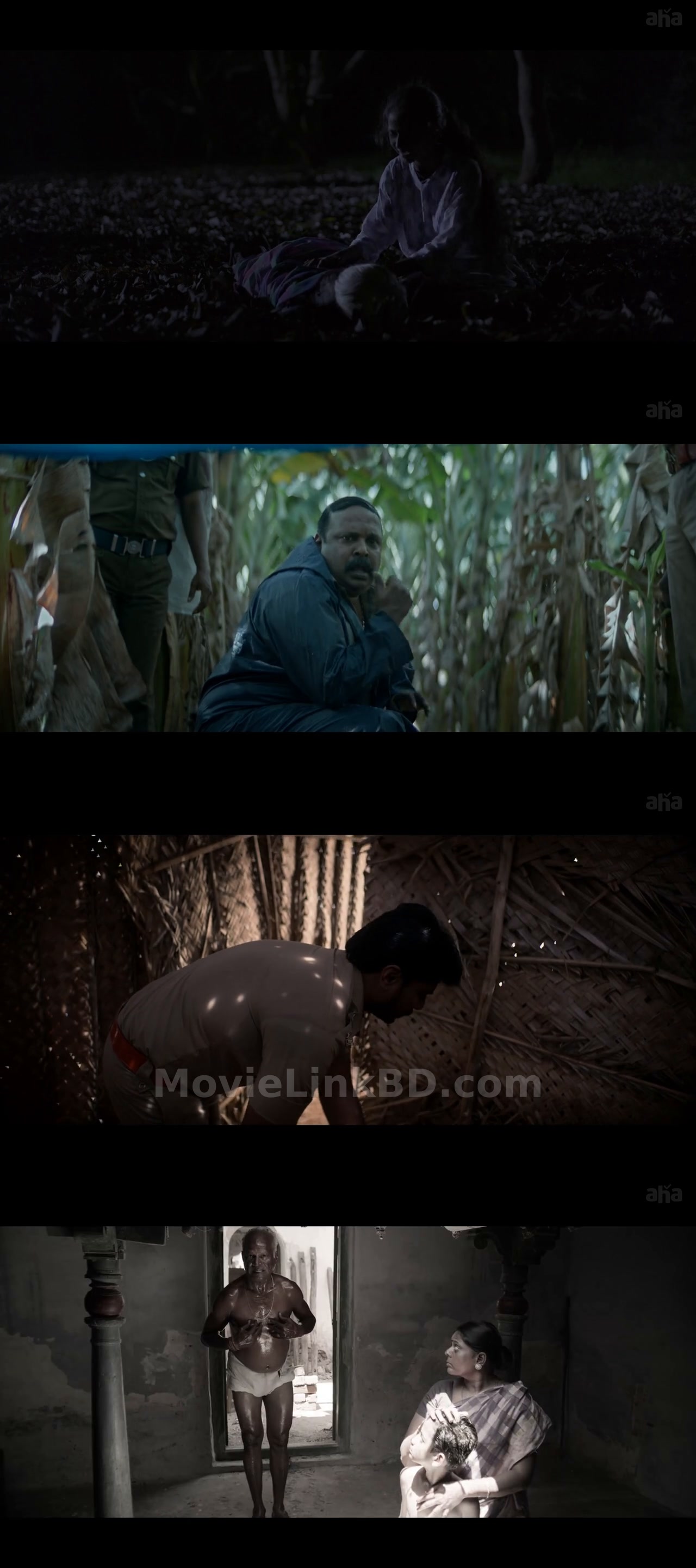 Screenshot of Granny (2026) &bull; Tamil + Esub on MovieLinkBD
