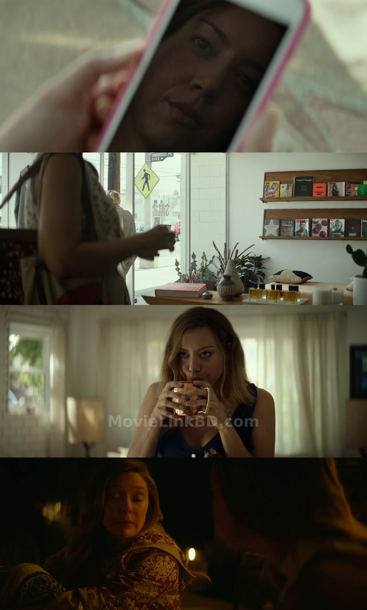 Screenshot of Ingrid Goes West (2017) &bull; English + Dual Audio + Hindi on MovieLinkBD