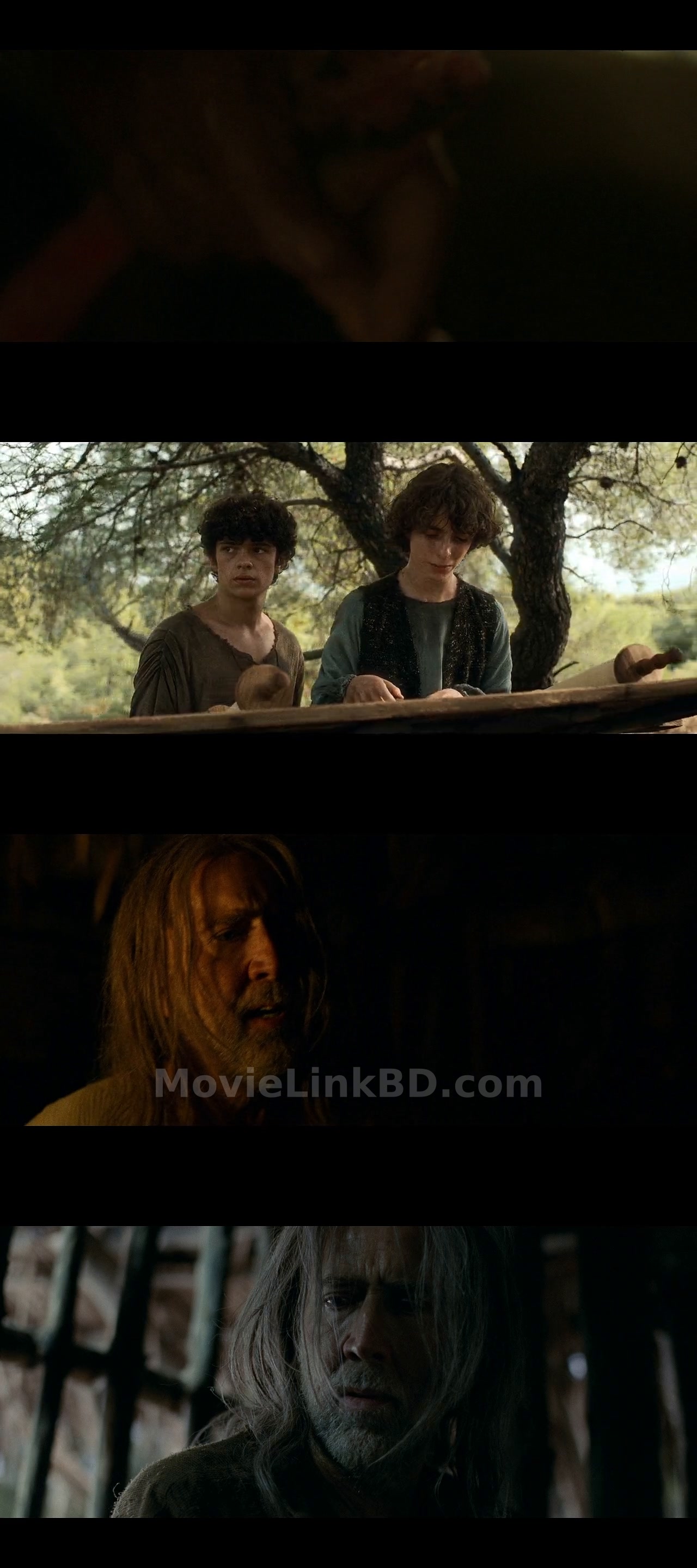 Screenshot of The Carpenter's Son (2025) &bull; Hindi + English on MovieLinkBD