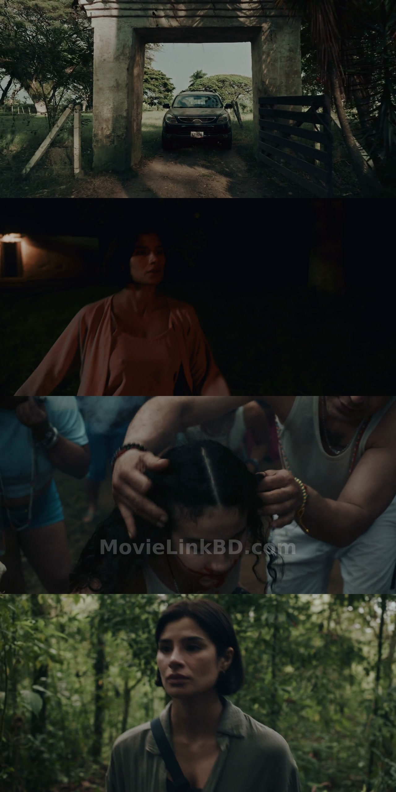 Screenshot of The Whistler  - Hindi Not Available (2026) &bull; English + With Esub on MovieLinkBD