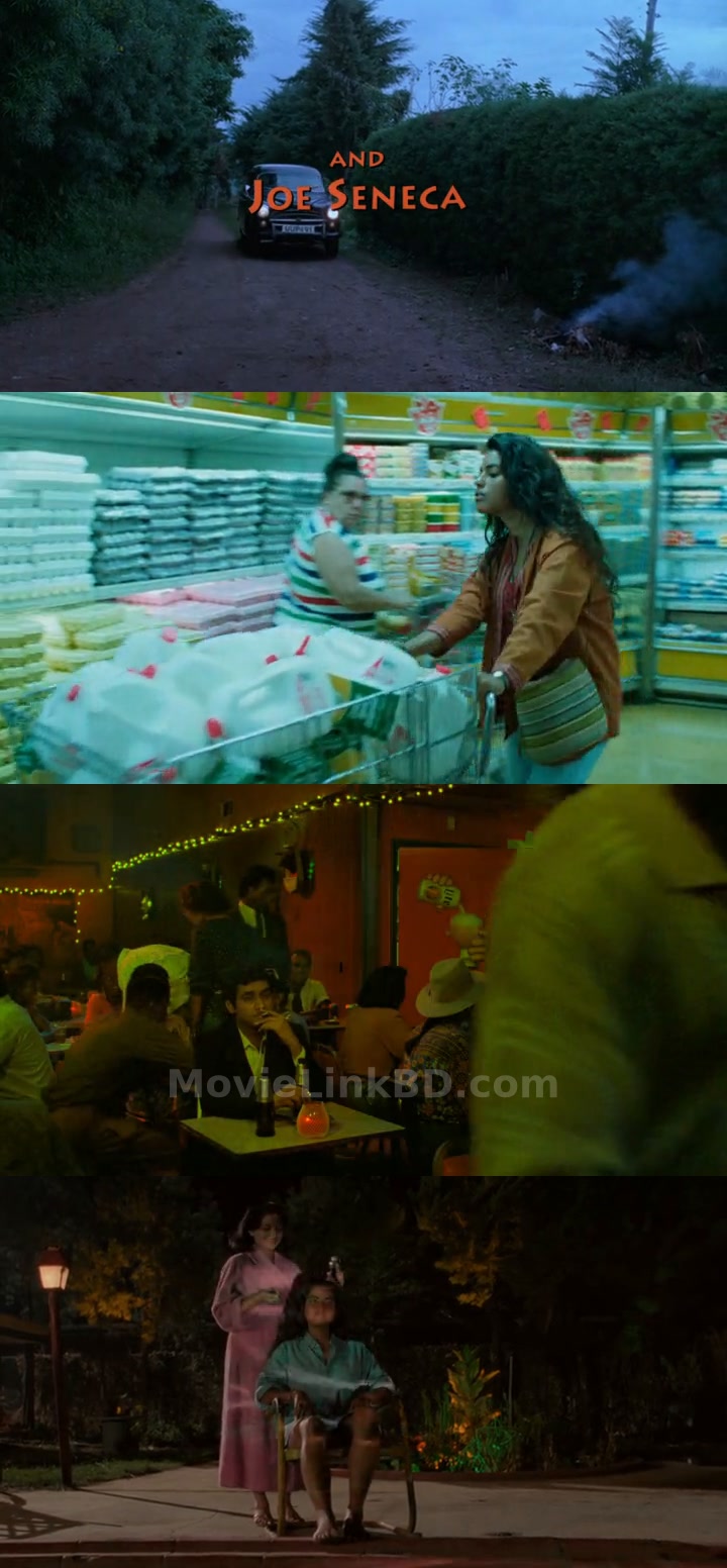 Screenshot of Mississippi Masala  Hindi ORG (1991) &bull; English + Dual Audio + Hindi on MovieLinkBD
