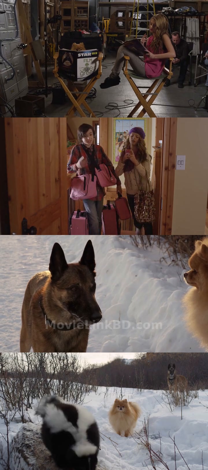 Screenshot of Step Dogs  Hindi ORG (2013) &bull; English + Dual Audio + Hindi on MovieLinkBD