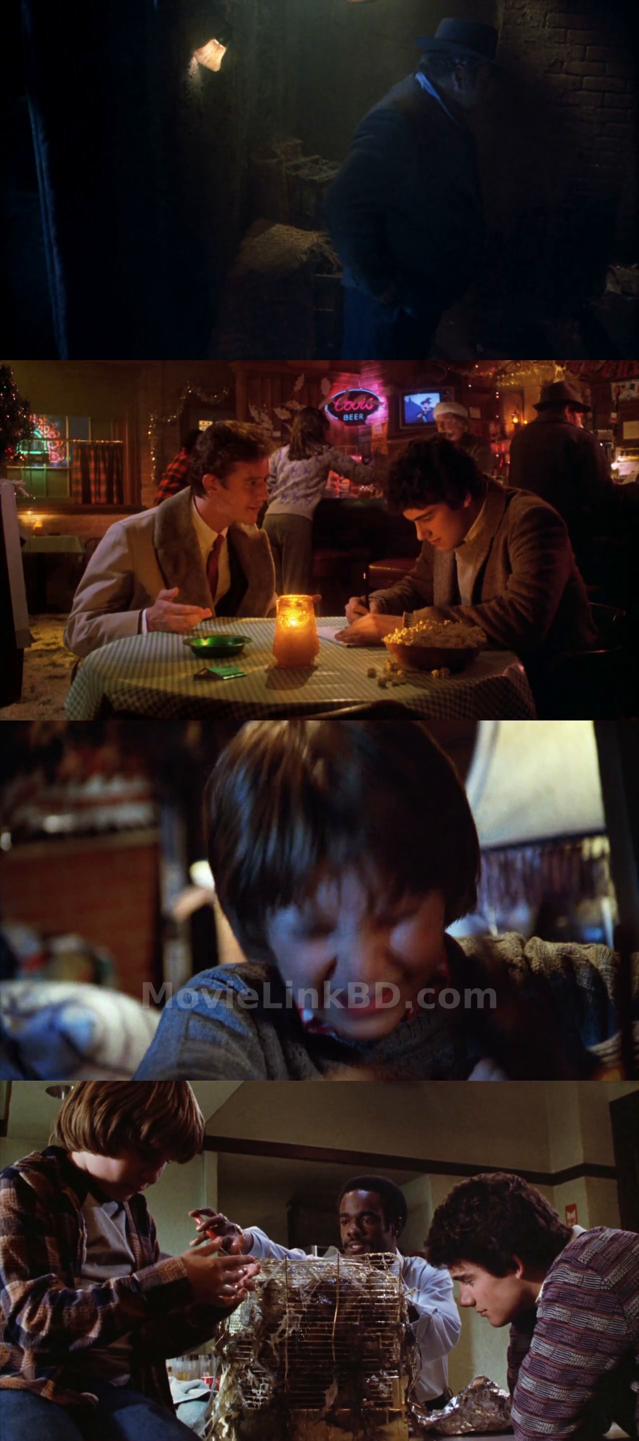 Screenshot of Gremlins  Hindi ORG (1984) &bull; English + Dual Audio + Hindi on MovieLinkBD