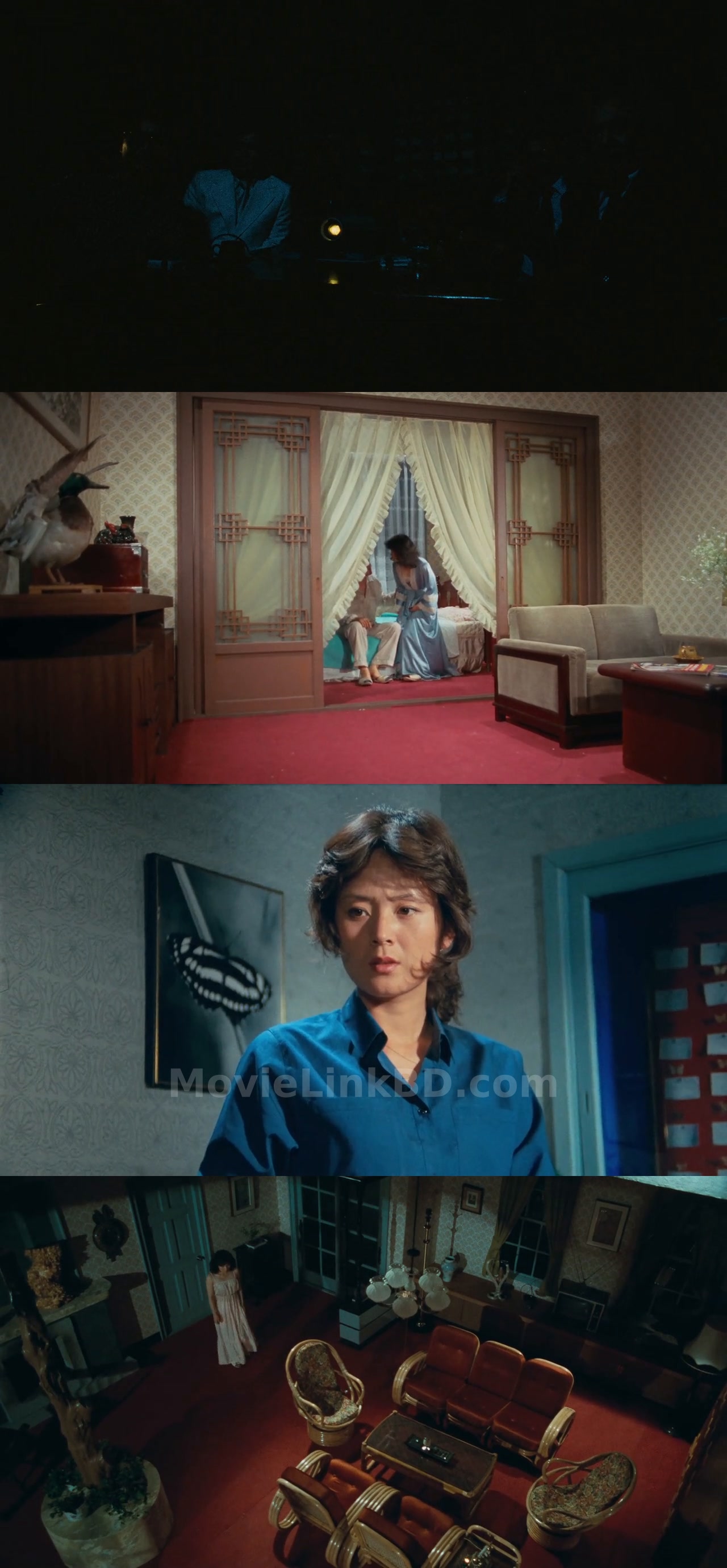 Screenshot of Suddenly in the Dark  Hindi ORG (1981) &bull; Korean + Dual Audio + Hindi on MovieLinkBD