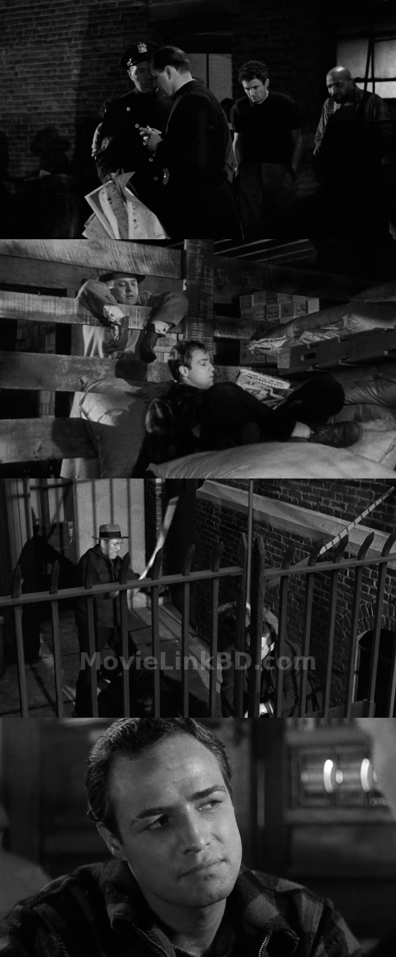 Screenshot of On the Waterfront  Hindi ORG (1954) &bull; Hindi + Dual Audio + English on MovieLinkBD