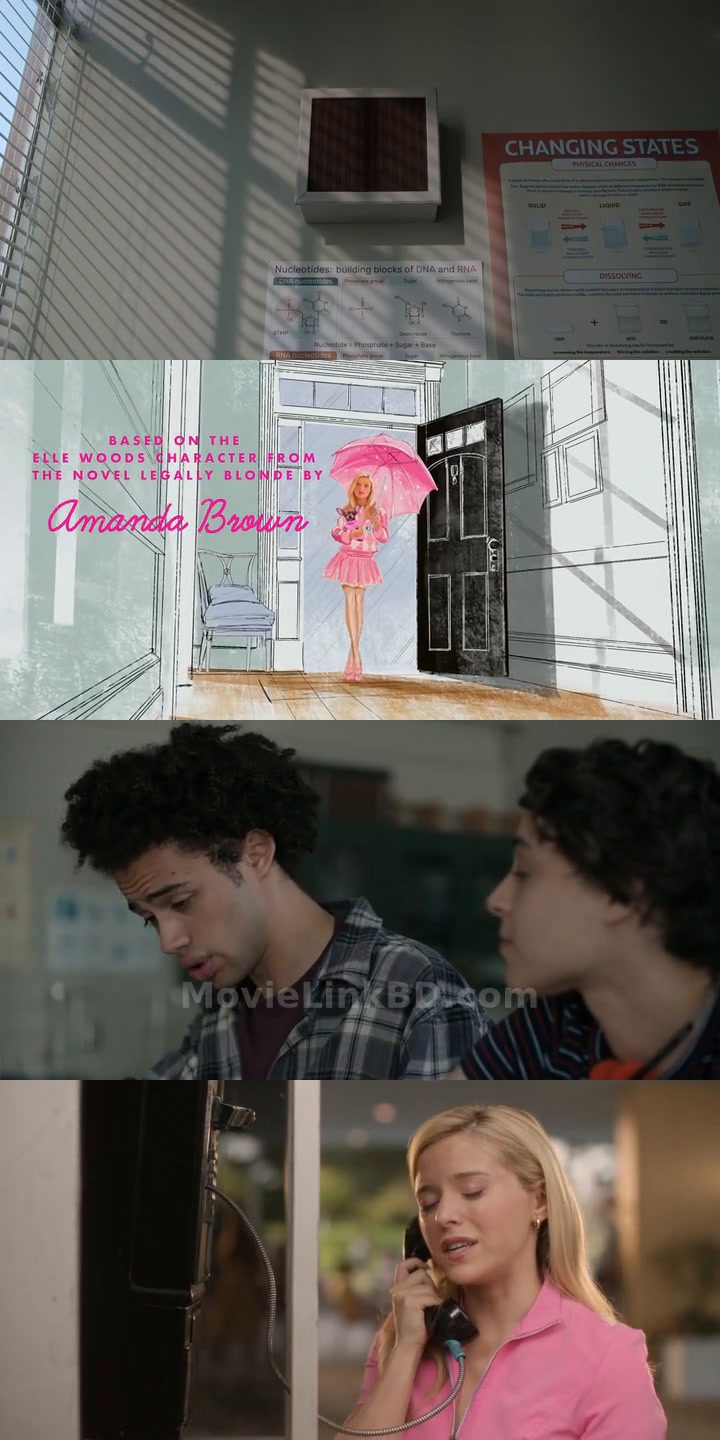 Screenshot of Elle  S01 Complete [ Hindi ORG] (2026) &mdash; S01 &bull; English + Dual Audio + Hindi on MovieLinkBD