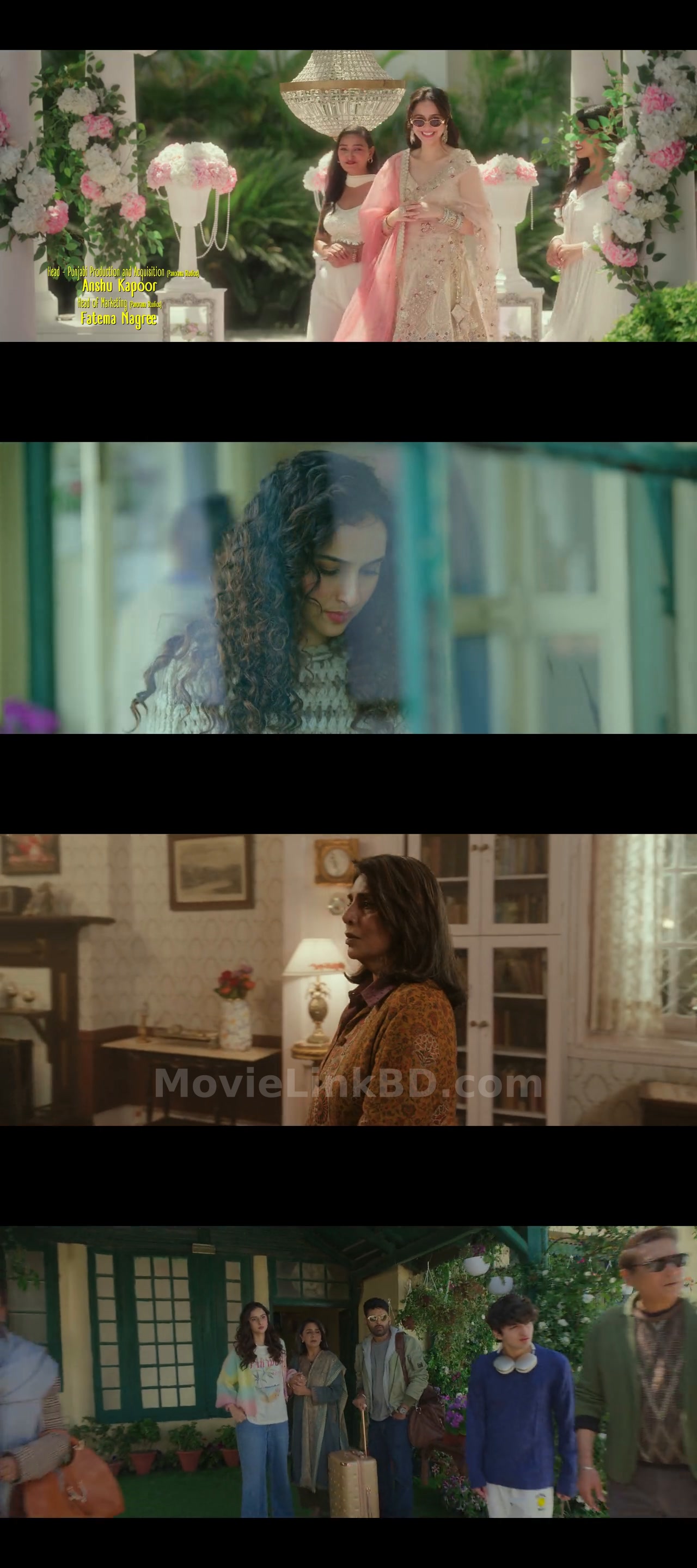Screenshot of Daadi Ki Shaadi (2026) &bull; Hindi on MovieLinkBD