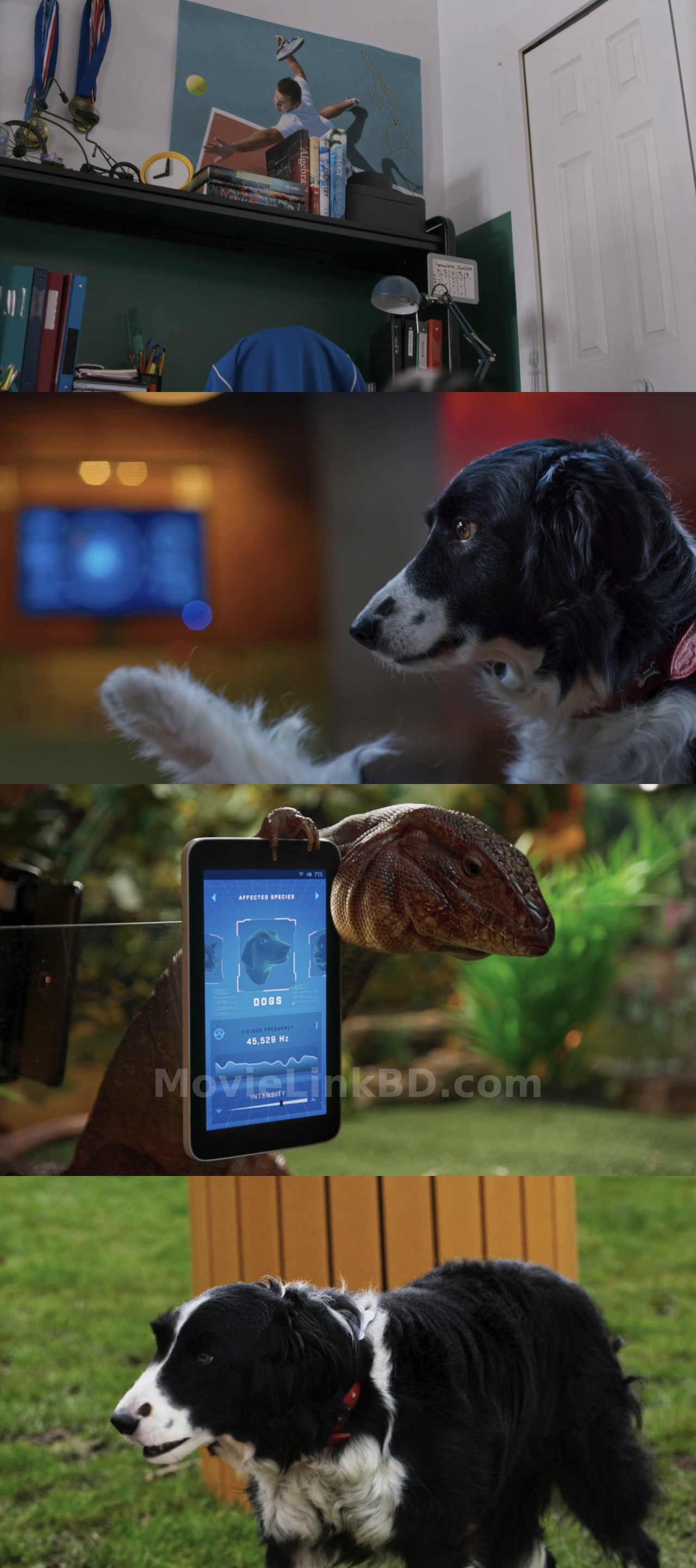 Screenshot of Cats &amp; Dogs 3: Paws Unite  - Cats &amp; Dogs 3: Paws Unite! (2020) &bull; Hindi + English on MovieLinkBD