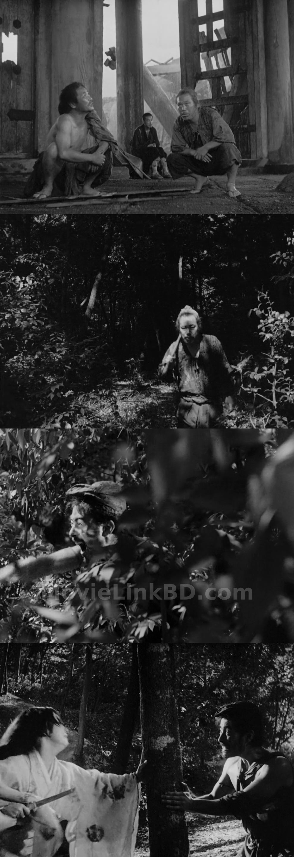 Screenshot of Rashomon (1950) &bull; Japanese + With Esub on MovieLinkBD