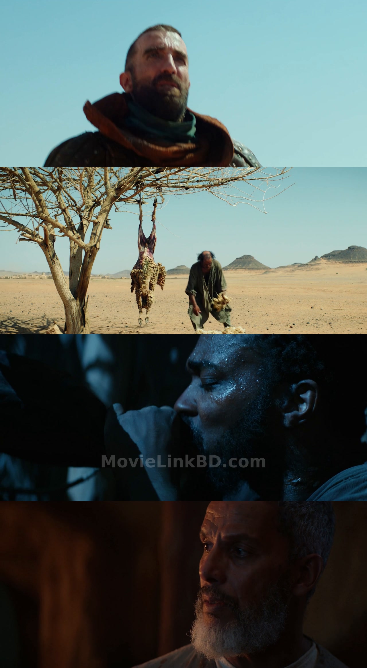 Screenshot of Desert Warrior  Full HD Hindi ORG (2026) &bull; Hindi + English + Dual Audio on MovieLinkBD