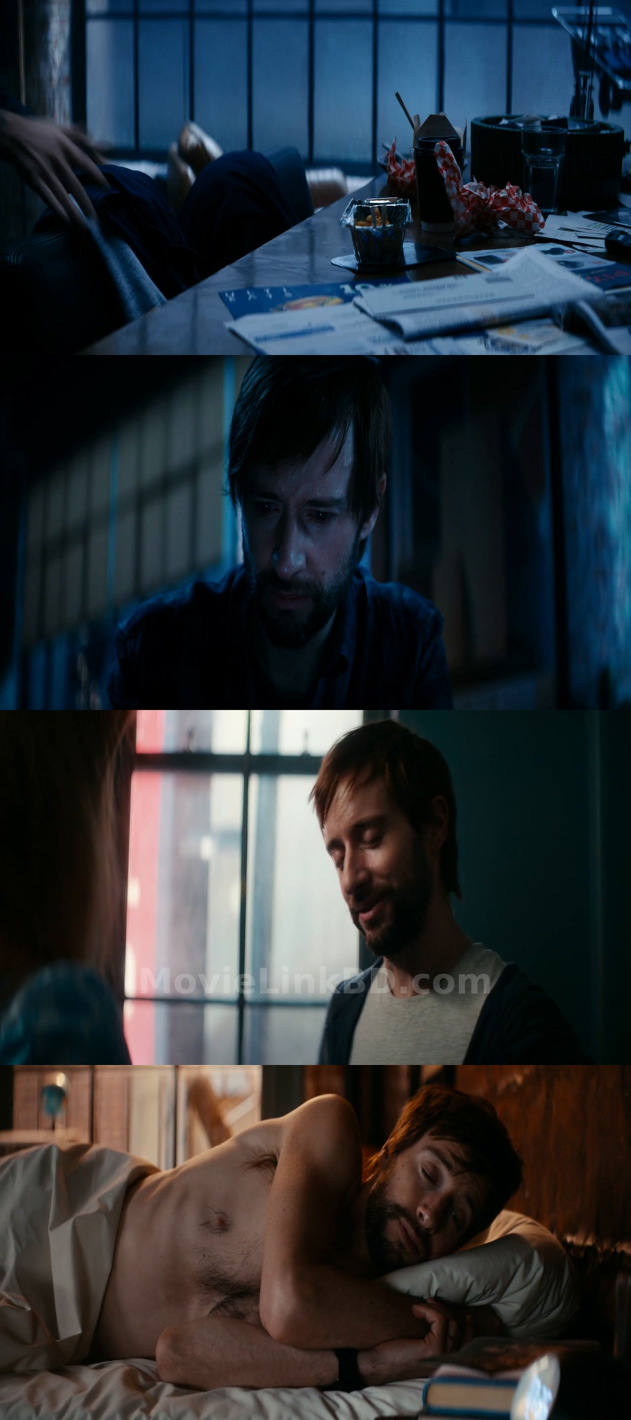 Screenshot of Soulm8te  - Hindi Not Available - Alert 18+ (2026) &bull; English + With Esub on MovieLinkBD