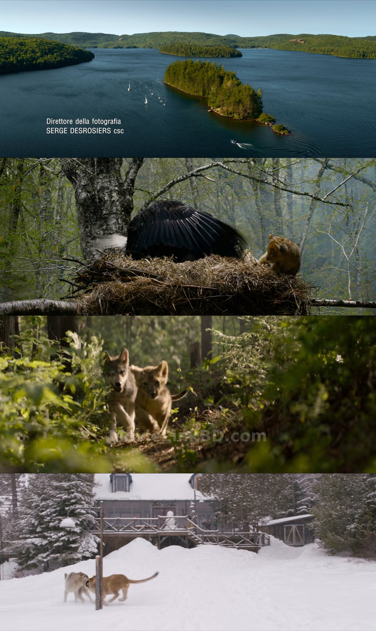 Screenshot of The Wolf and The Lion (2021) &bull; Hindi, English, Dual Audio on MovieLinkBD