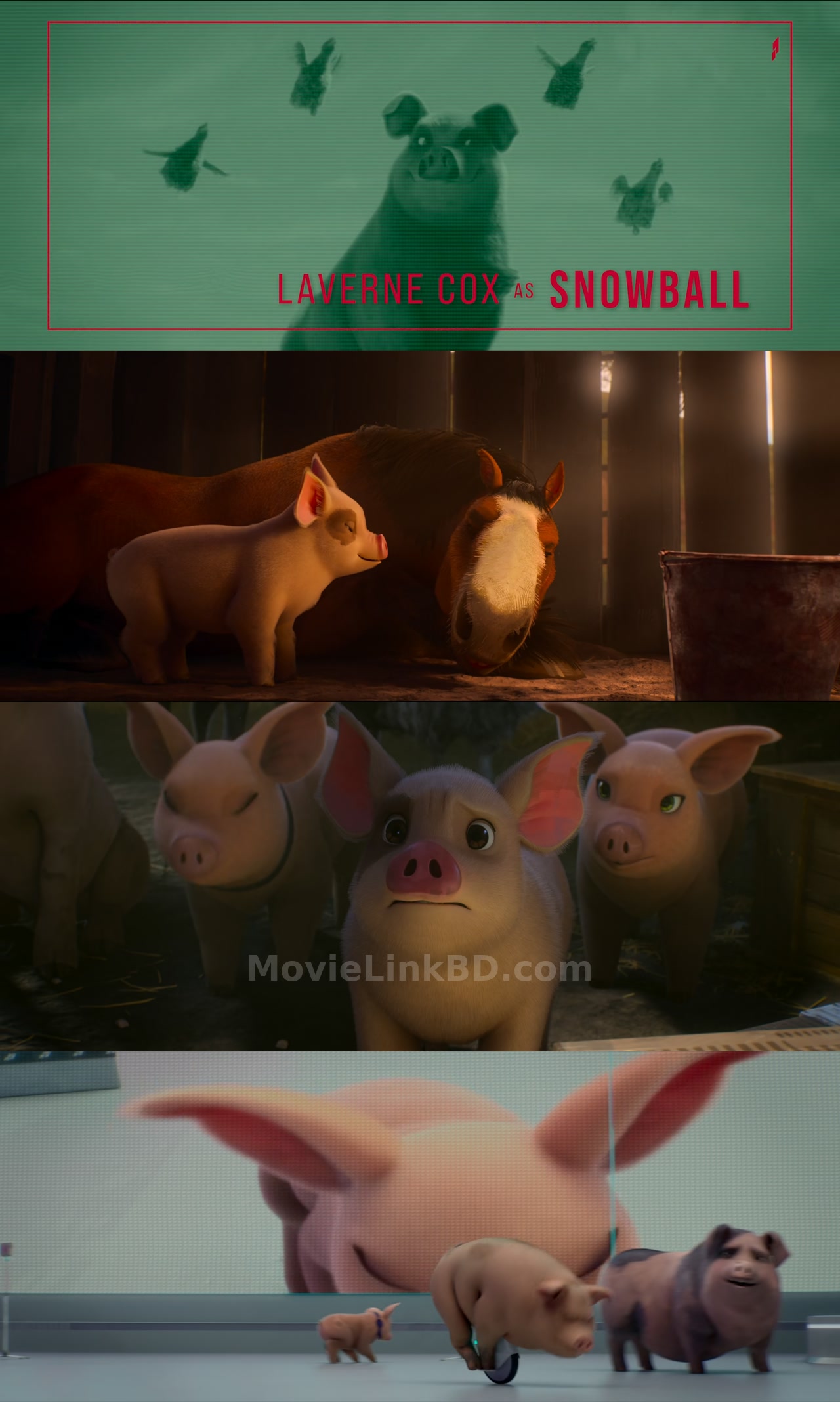 Screenshot of Animal Farm (2026) &bull; English + E-Sub on MovieLinkBD