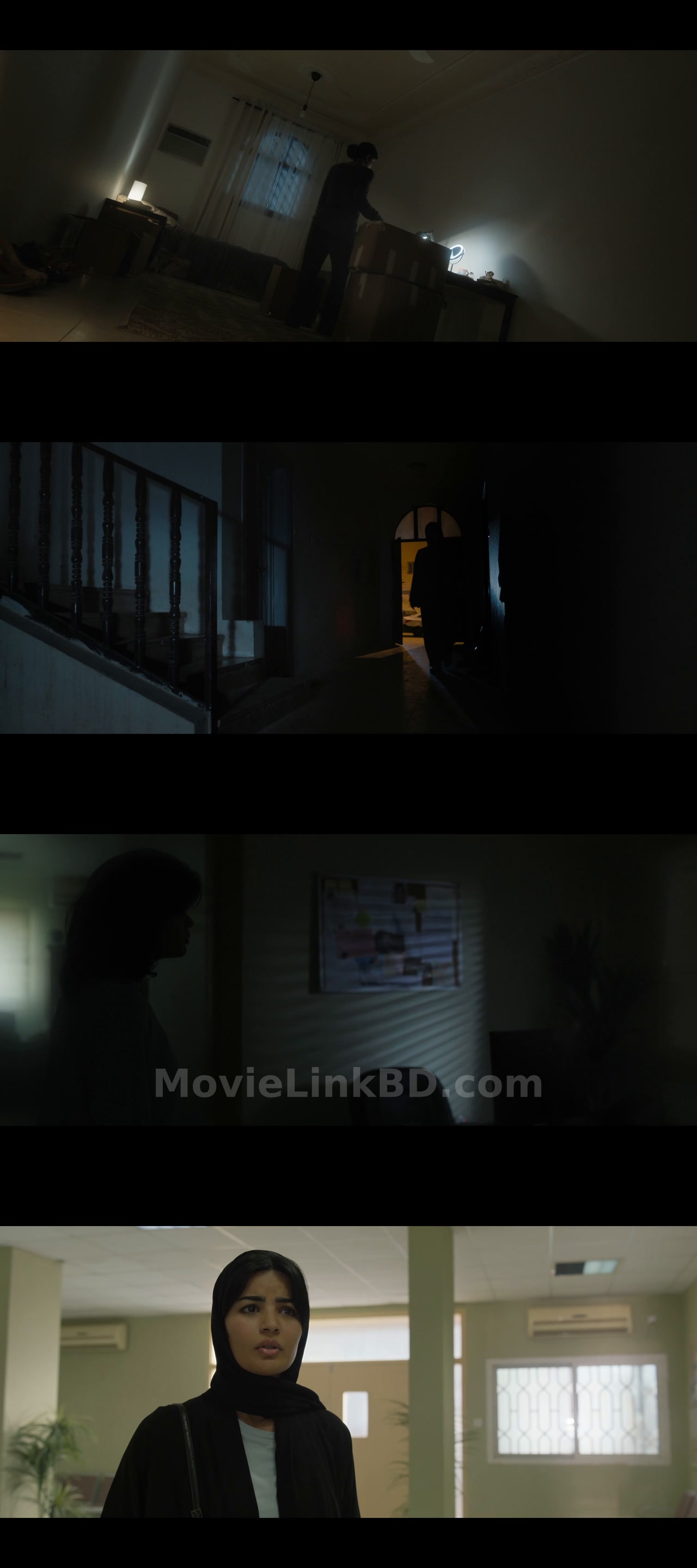 Screenshot of Unidentified  Hindi ORG (2026) &bull; Hindi + Dual Audio + English on MovieLinkBD