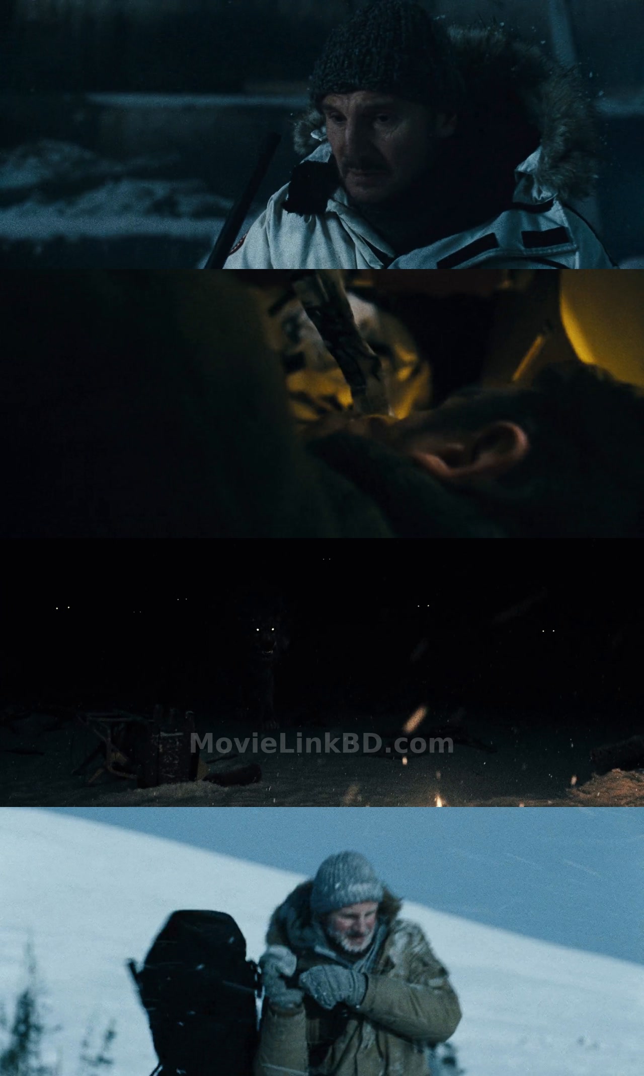 Screenshot of The Grey (2012) &bull; English + Hindi on MovieLinkBD