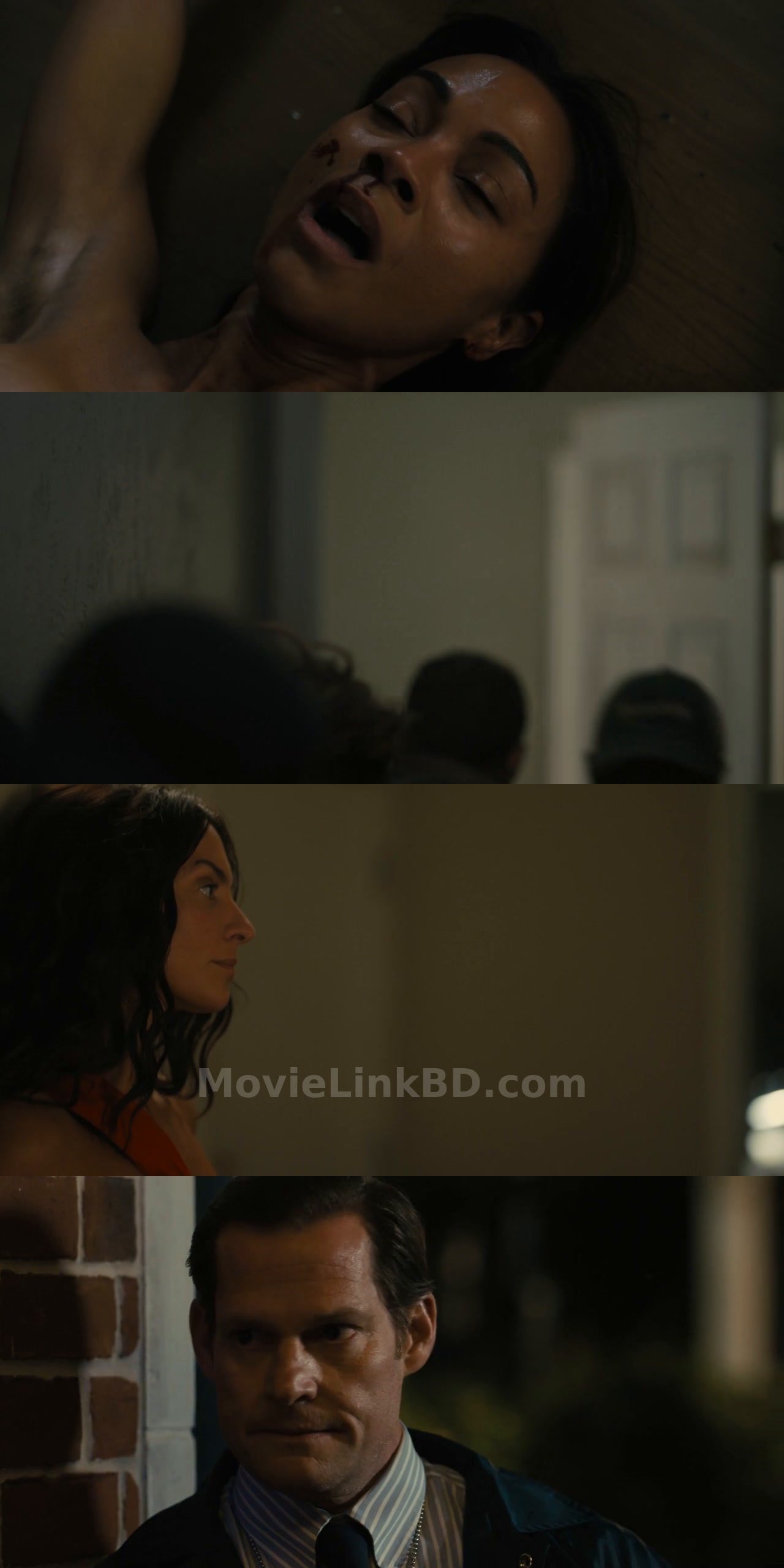 Screenshot of Lioness  Season 3 [Ep01-02 Added] - Hindi Not Available (2026) &bull; English on MovieLinkBD