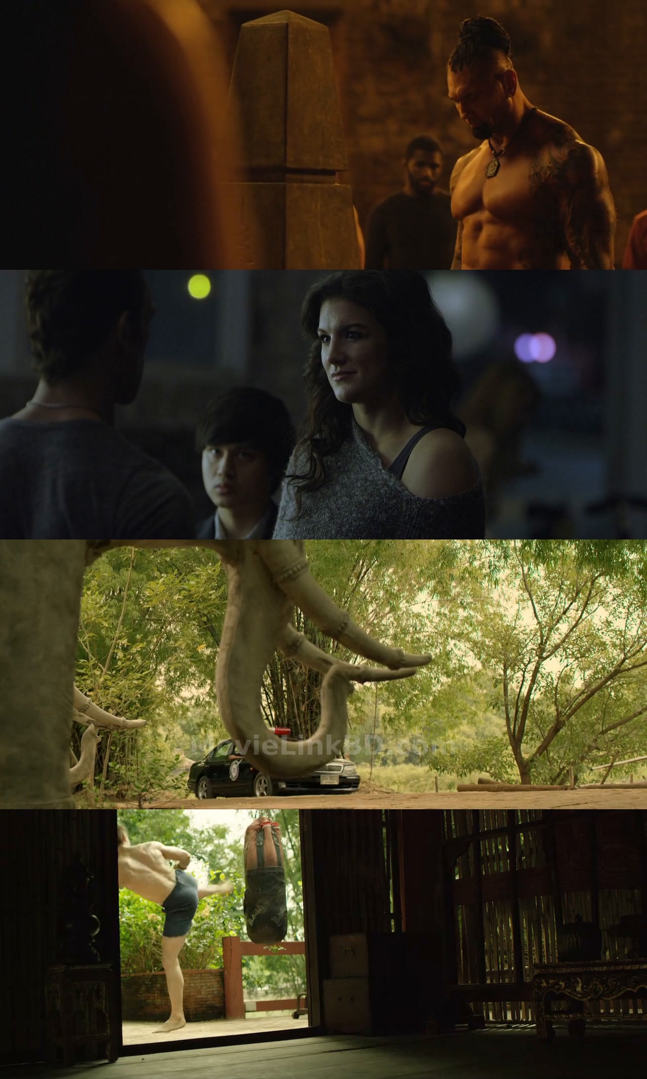 Kickboxer: Vengeance (2016) &bull; English + Dual Audio + Hindi on MovieLinkBD Movie
