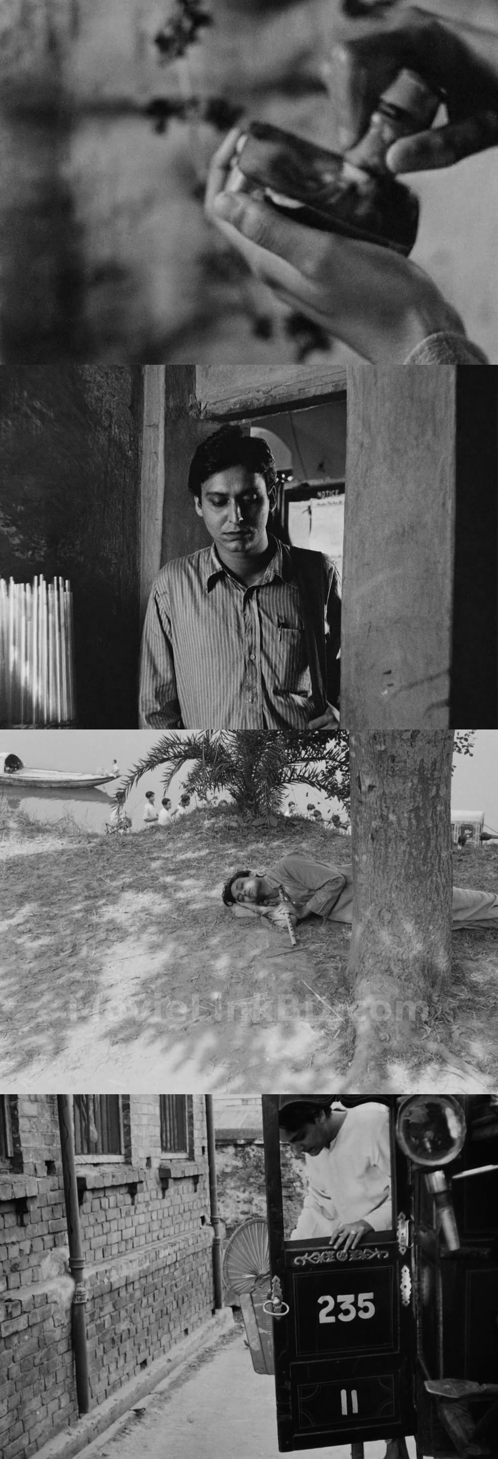 Apur Sansar  - The World of Apu (1959) &bull; Bangla on MovieLinkBD Movie