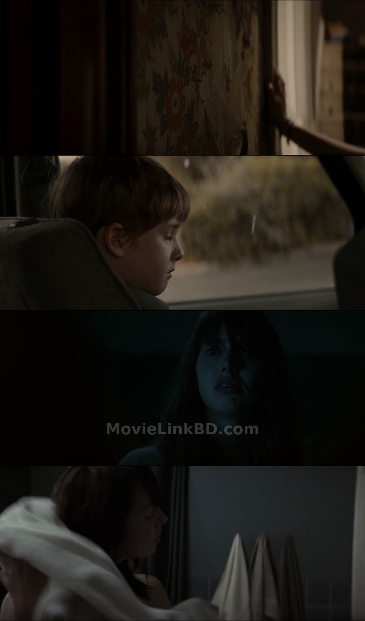 The Hole in the Ground (2019) &bull; Dual Audio on MovieLinkBD Movie