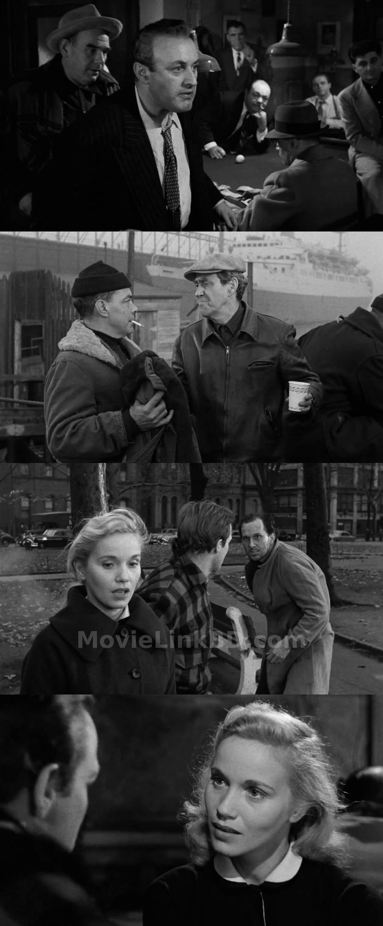 On the Waterfront  Hindi ORG (1954) &bull; Hindi + Dual Audio + English on MovieLinkBD Movie