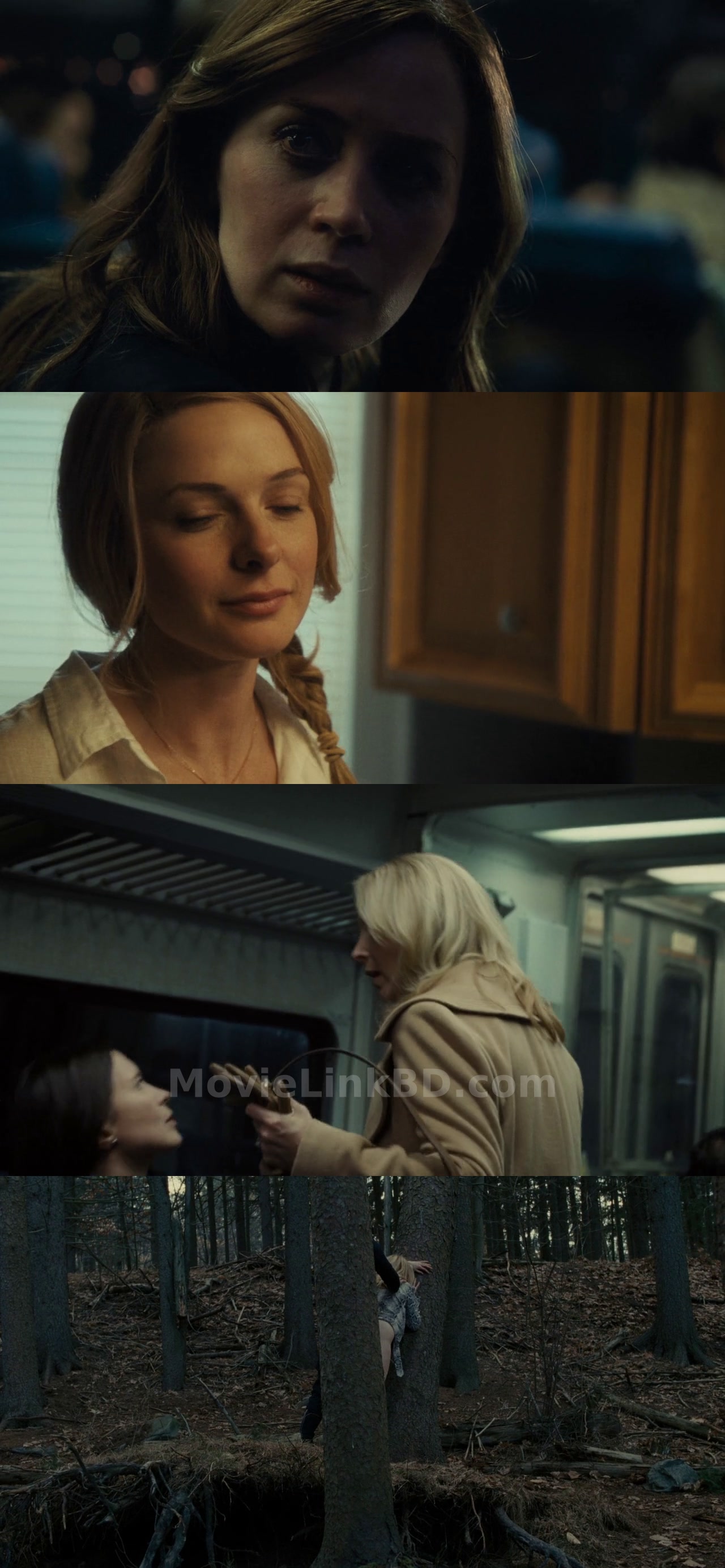 The Girl on the Train (2016) &bull; English on MovieLinkBD Movie