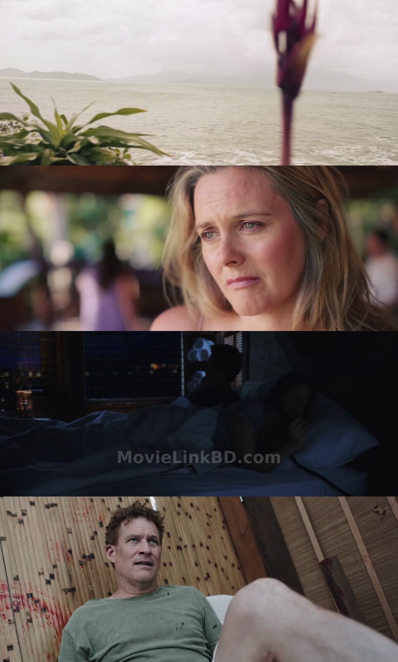 The Requin (2022) &bull; English on MovieLinkBD Movie