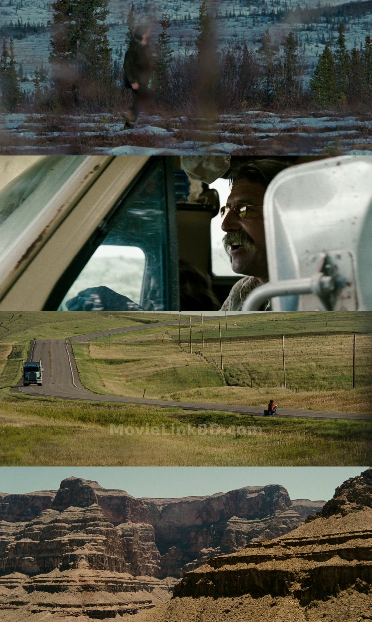 Into the Wild (2007) &bull; Hindi, English, Dual Audio on MovieLinkBD Movie